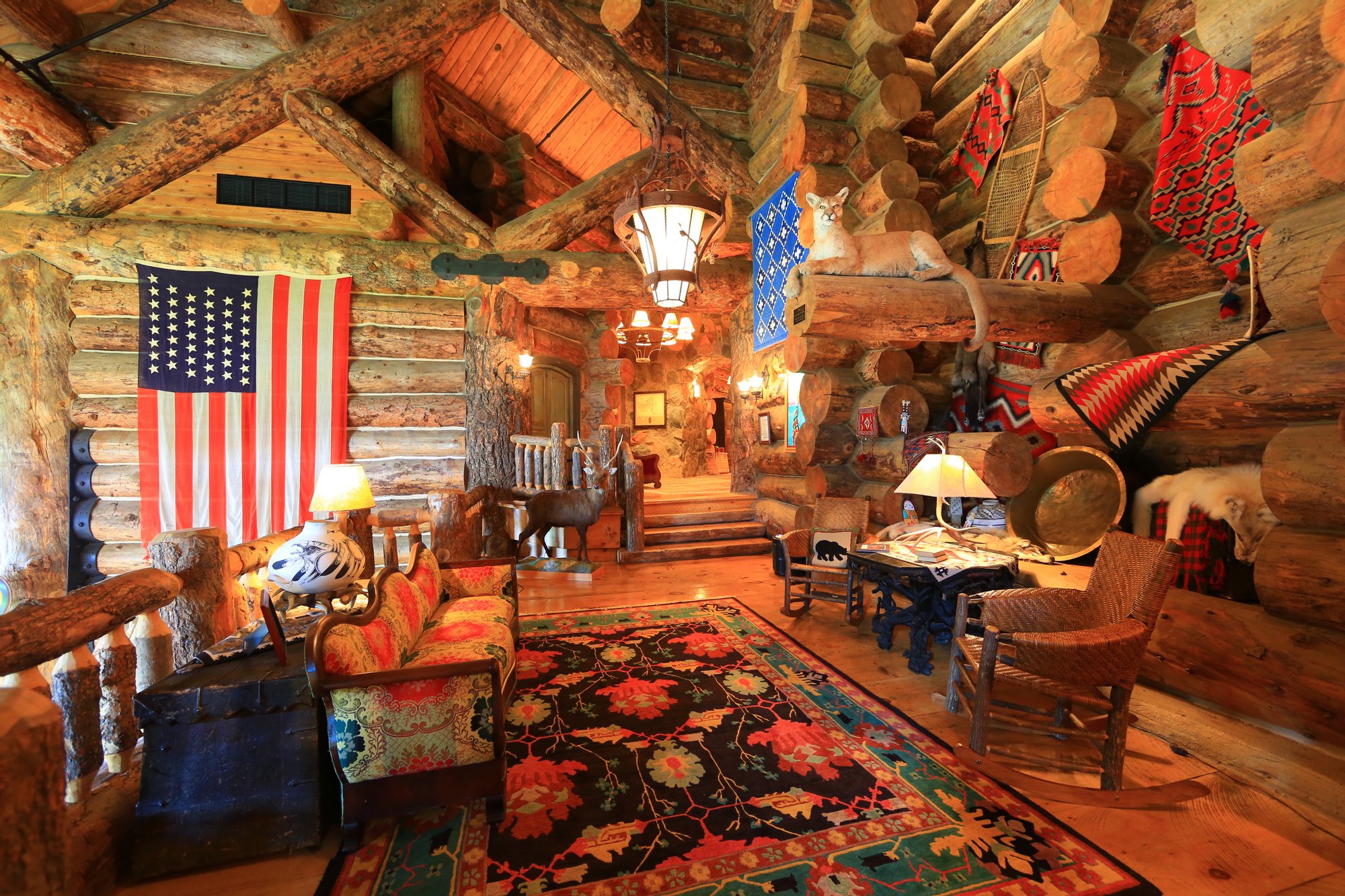 Savannah Dhu In Savannah, New York, United States For Sale (10723270)