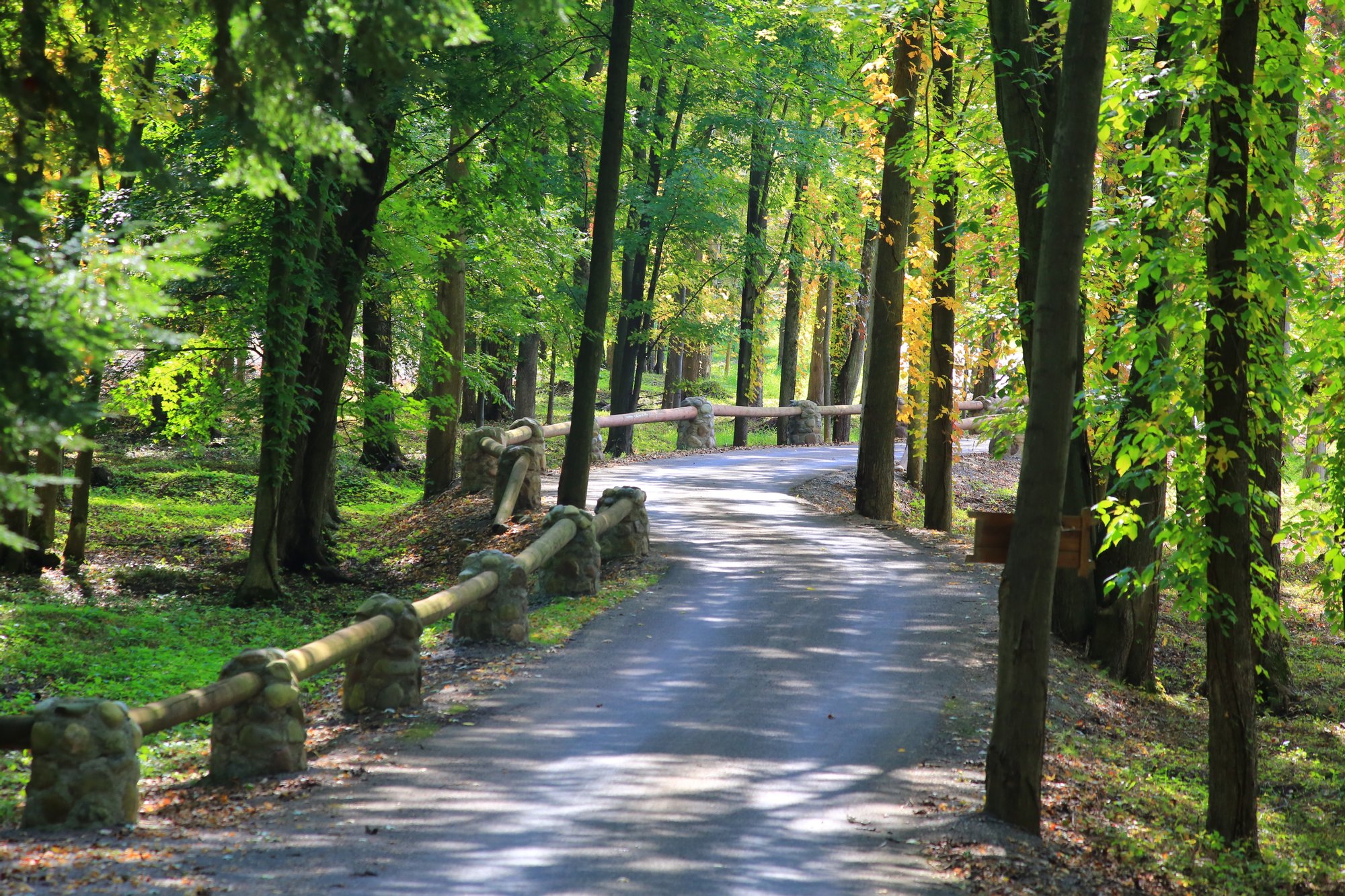 Savannah Dhu in Savannah, NY, United States for sale (10723270)