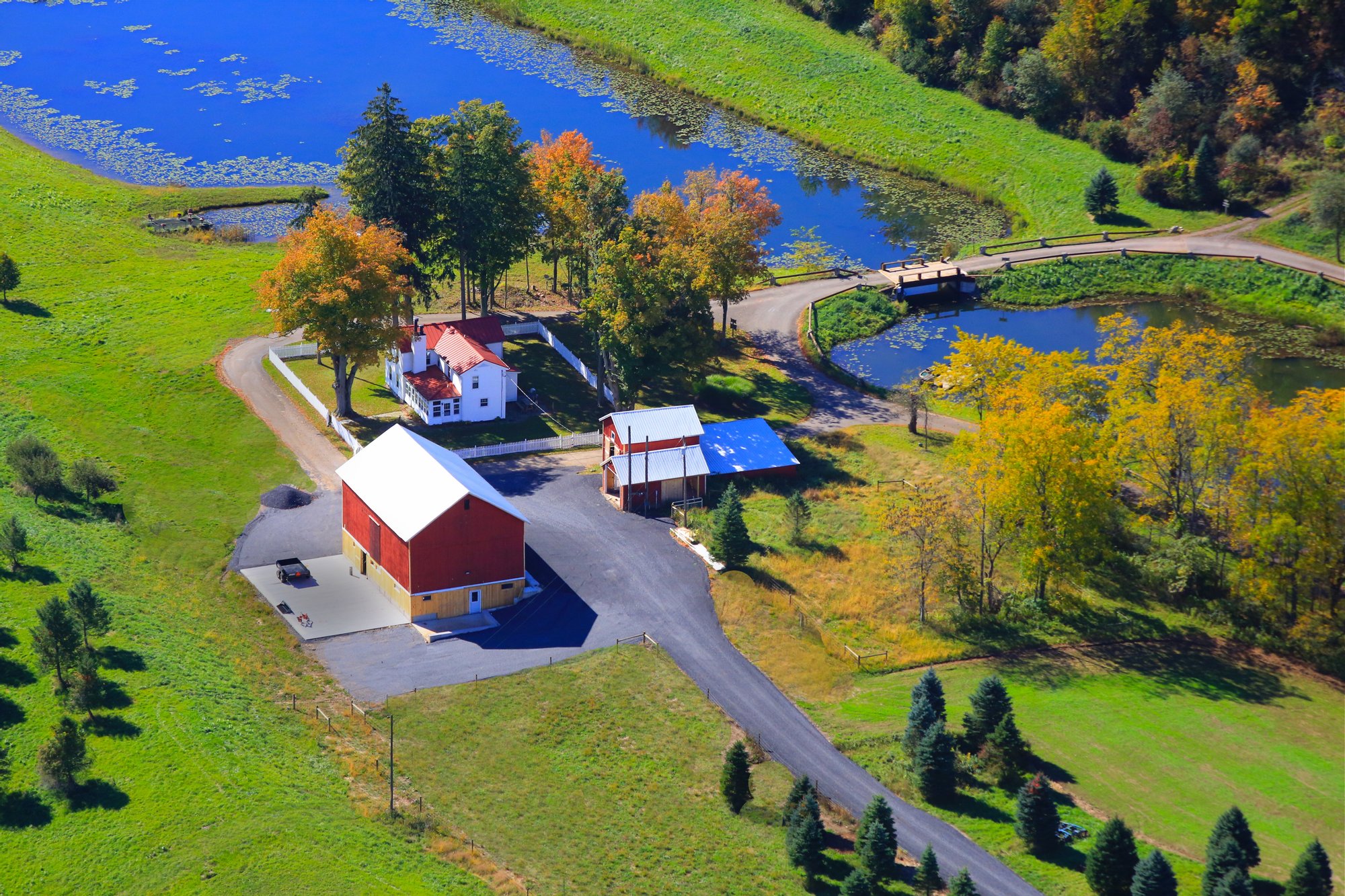 Savannah Dhu in Savannah, NY, United States for sale (10723270)