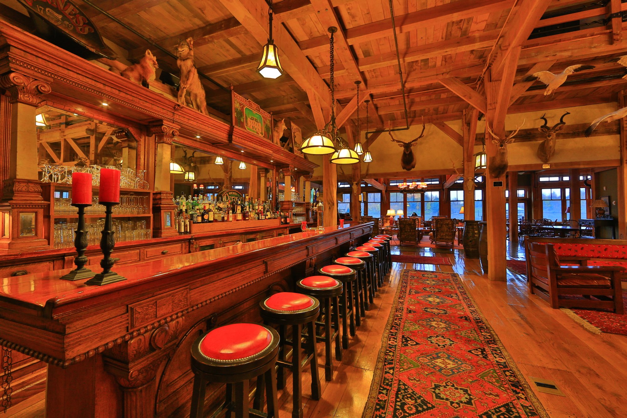 Savannah Dhu in Savannah, NY, United States for sale (10723270)