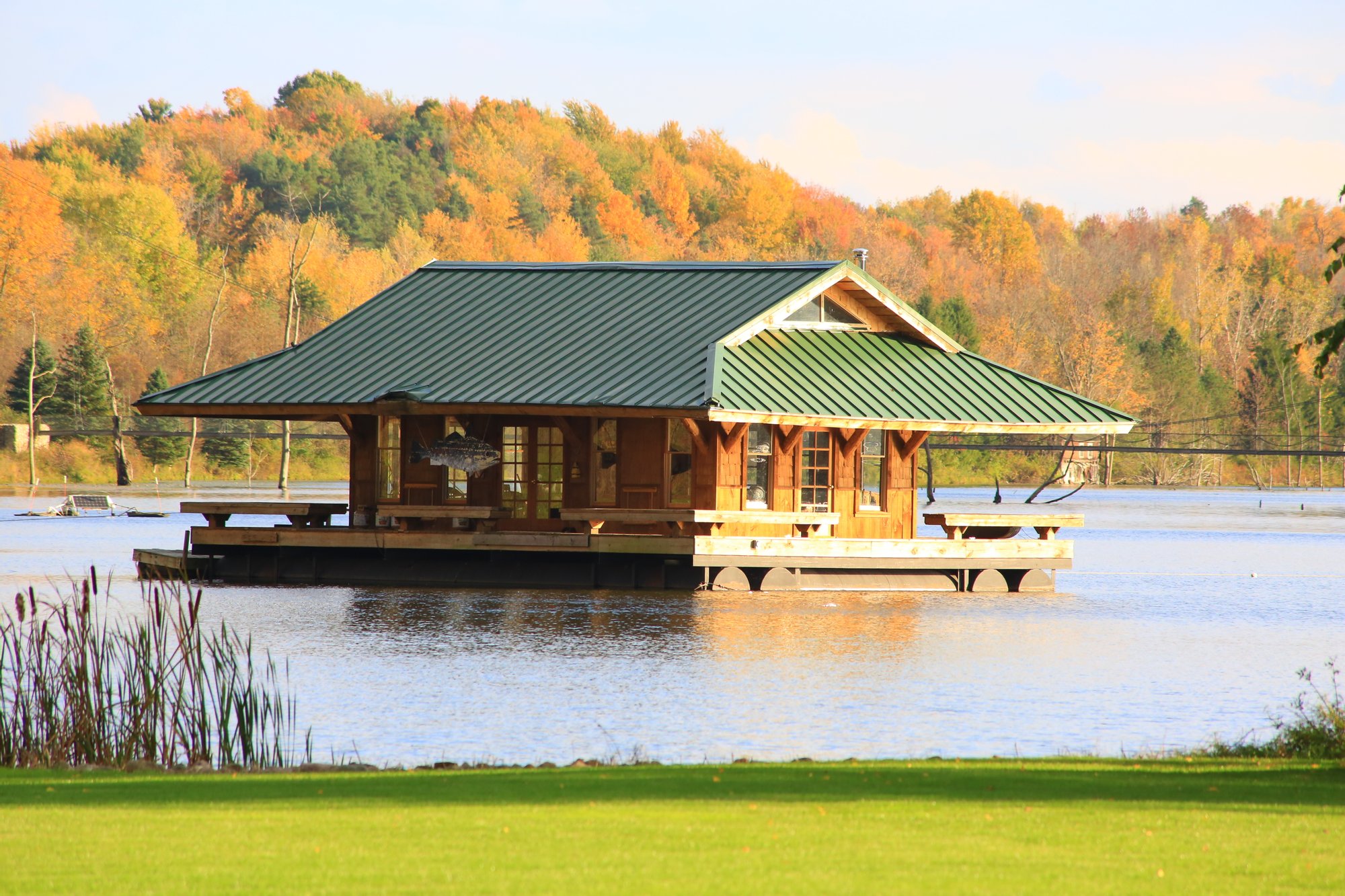 Savannah Dhu in Savannah, NY, United States for sale (10723270)