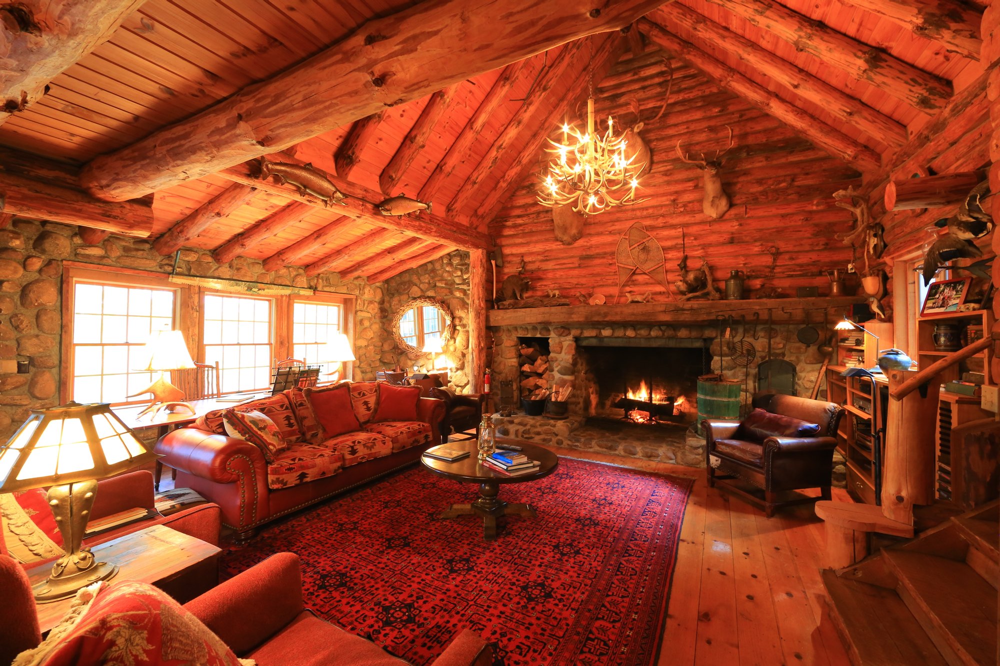 Savannah Dhu in Savannah, NY, United States for sale (10723270)