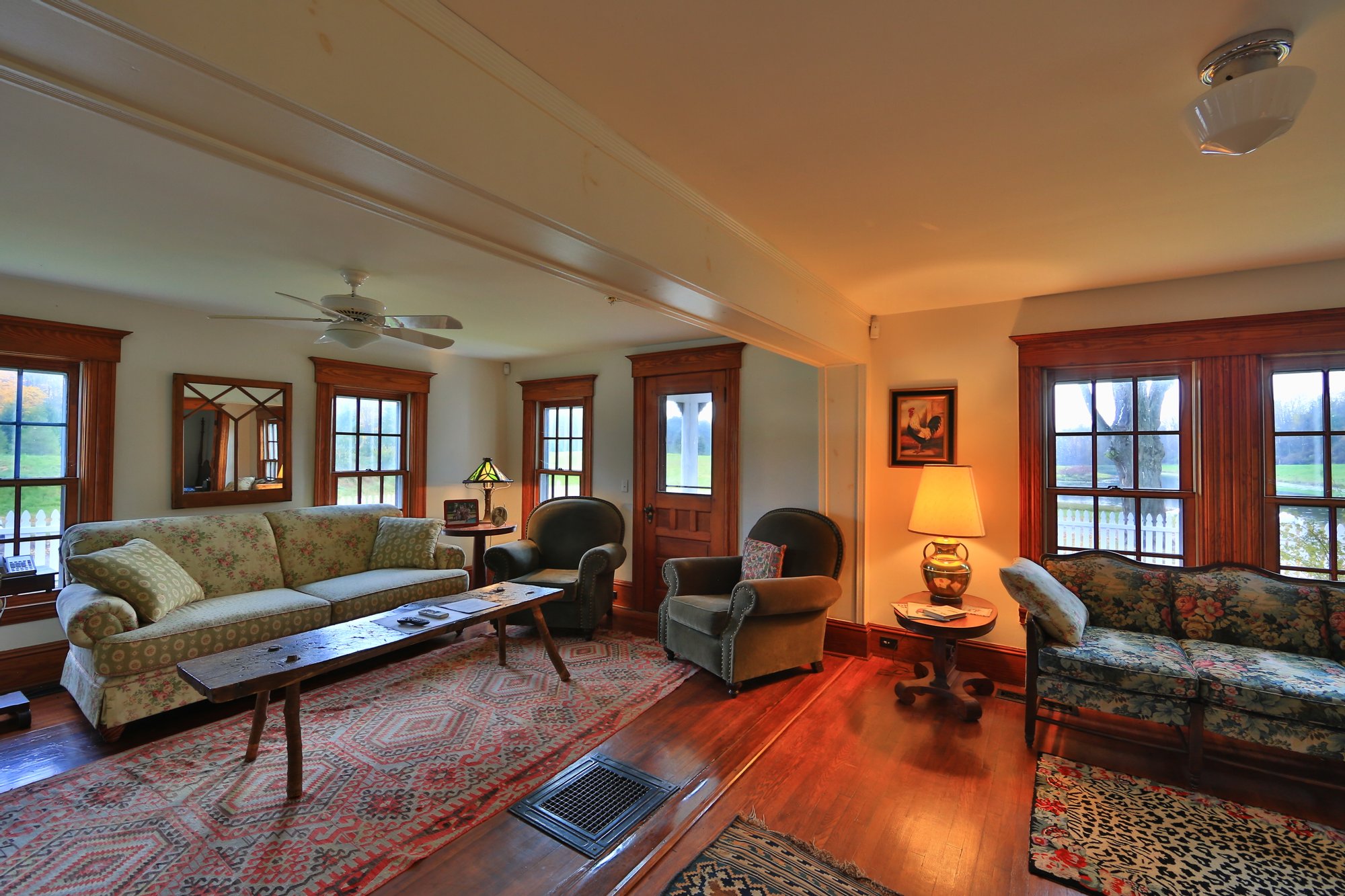 Savannah Dhu in Savannah, NY, United States for sale (10723270)