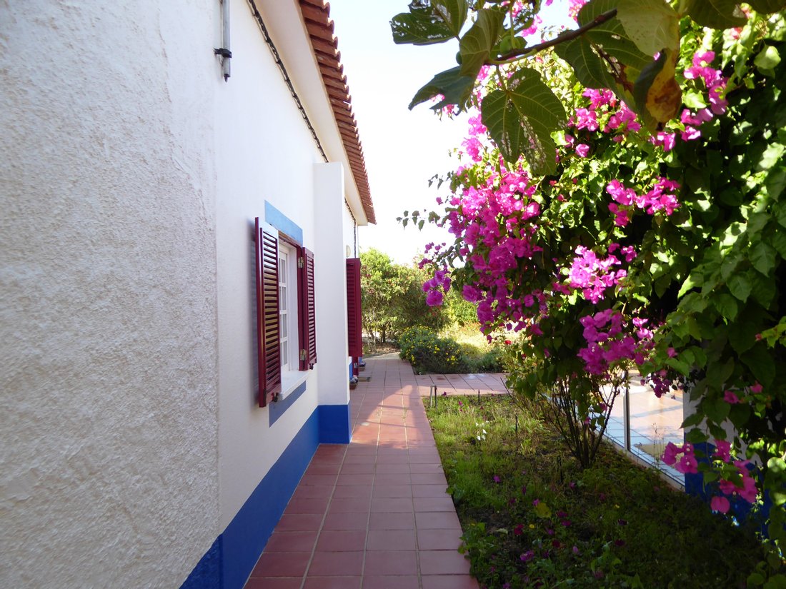 House 5 Bedrooms And 5 Hectares Of Land. In Odemira, Beja District