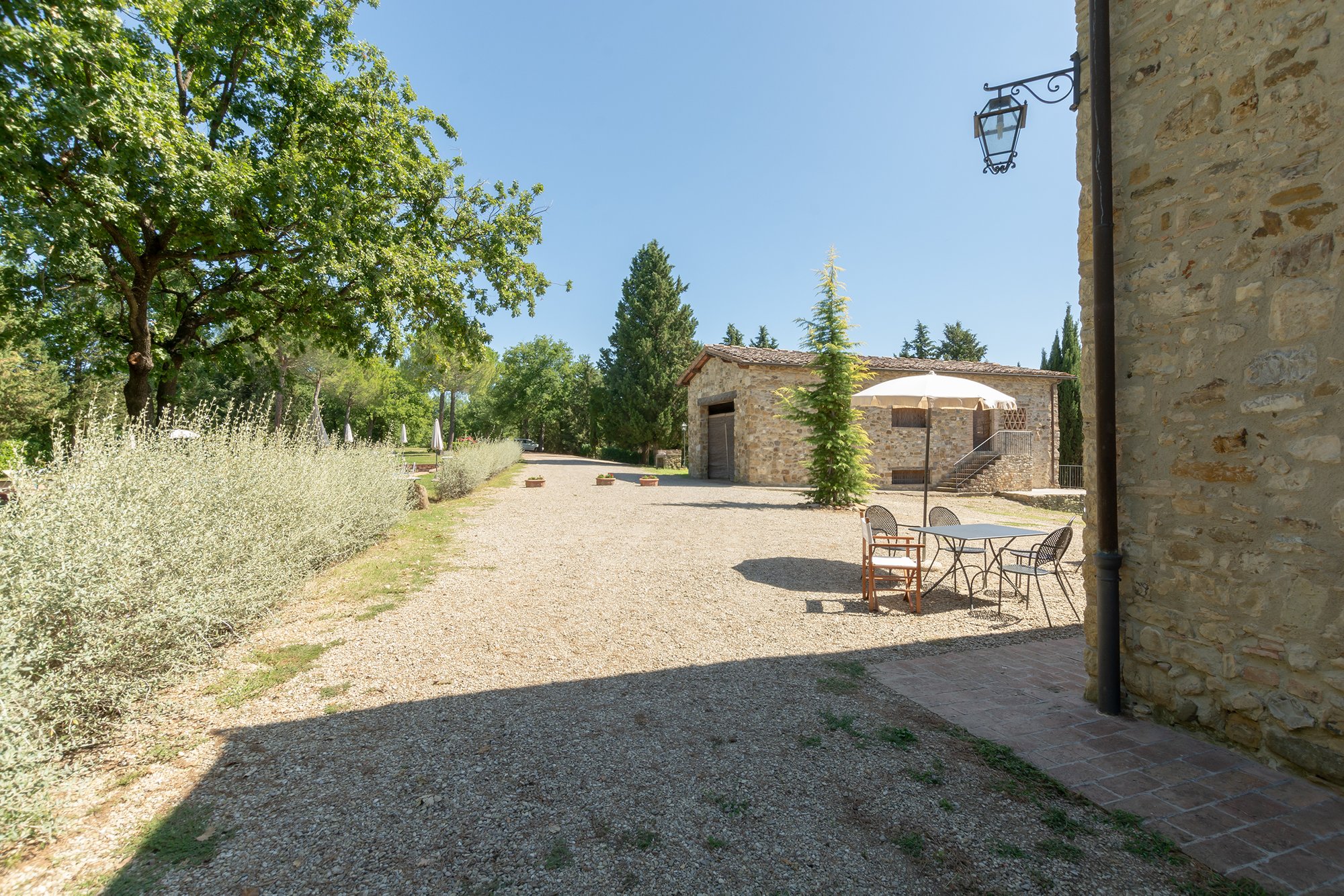 Wine farm in tourist area in Florence, Italy for sale (10747853)