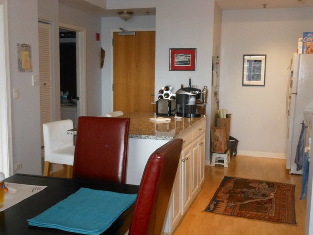 House in Chicago, Illinois, United States 5 - 10767043