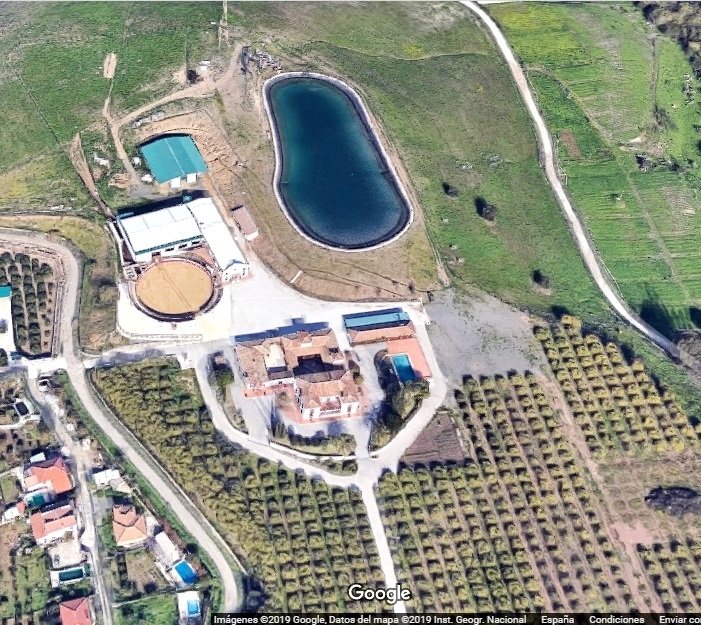 Estate in Centro, Malaga, Spain 4 - 10828842