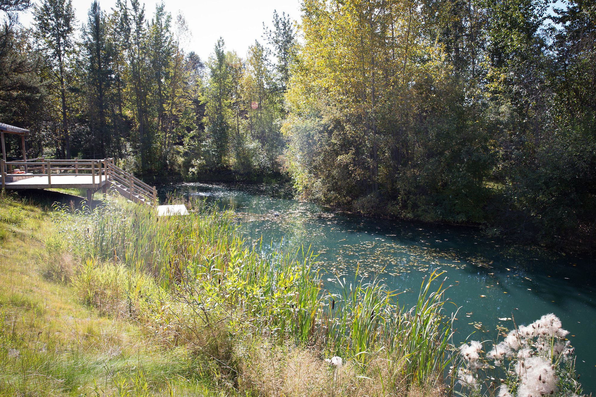 Spruce Grove, Edmonton in Spruce Grove, Canada for sale (10838867)