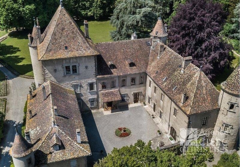 Close to Geneva, extraordinary castle in France for sale (10844862)