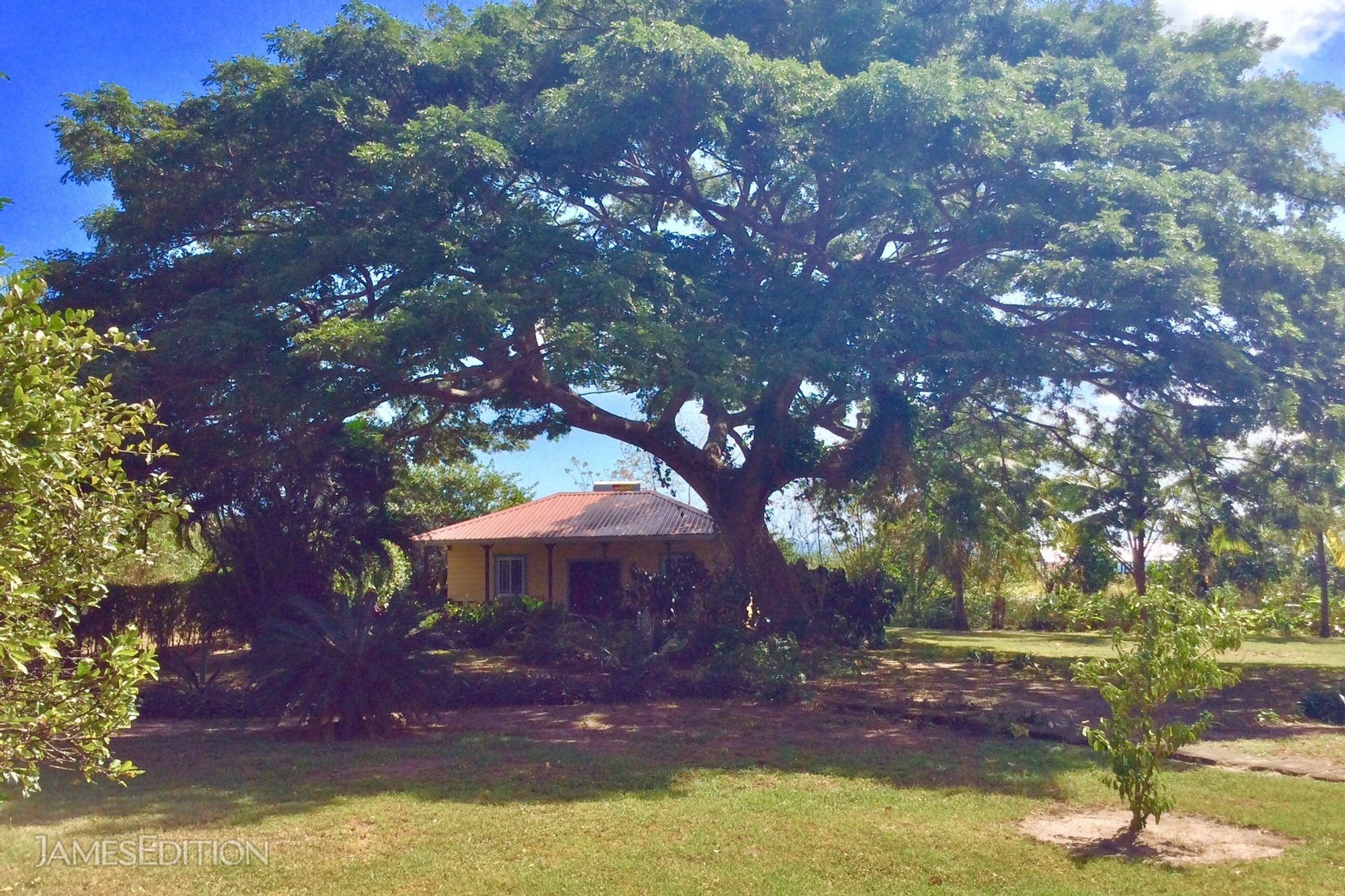 The Doctors Inn In La Fargue, Choiseul, Saint Lucia For Sale (10850744)