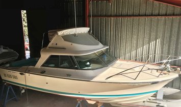 BERTRAM 25 SPORT FISHERMAN (10854262)