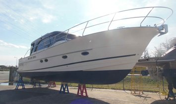 ARCOA MYSTIC 44 (10854265)