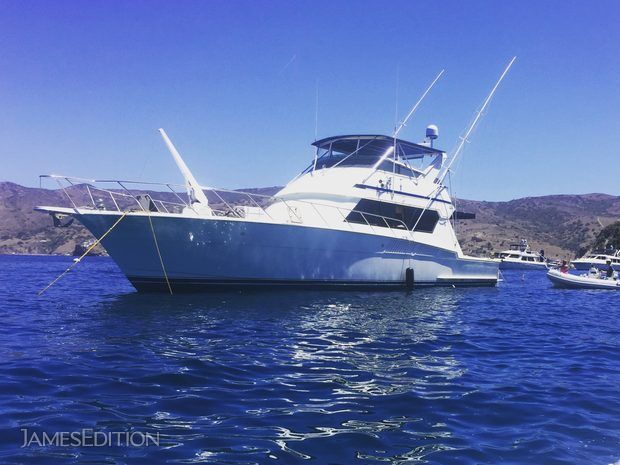 Hatteras Convertible (10855904)