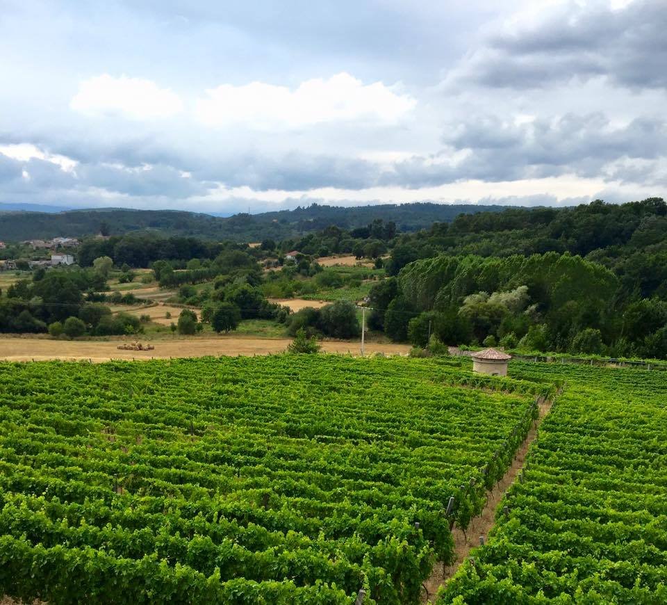 Finca a Lugo, Lugo, Lugo 3 - 10857202
