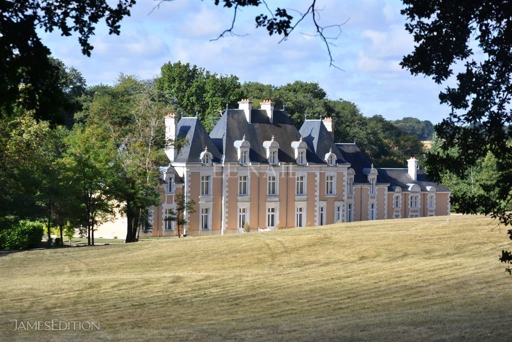 Beautiful french castle for sale near Poitiers. in POITIERS, France for