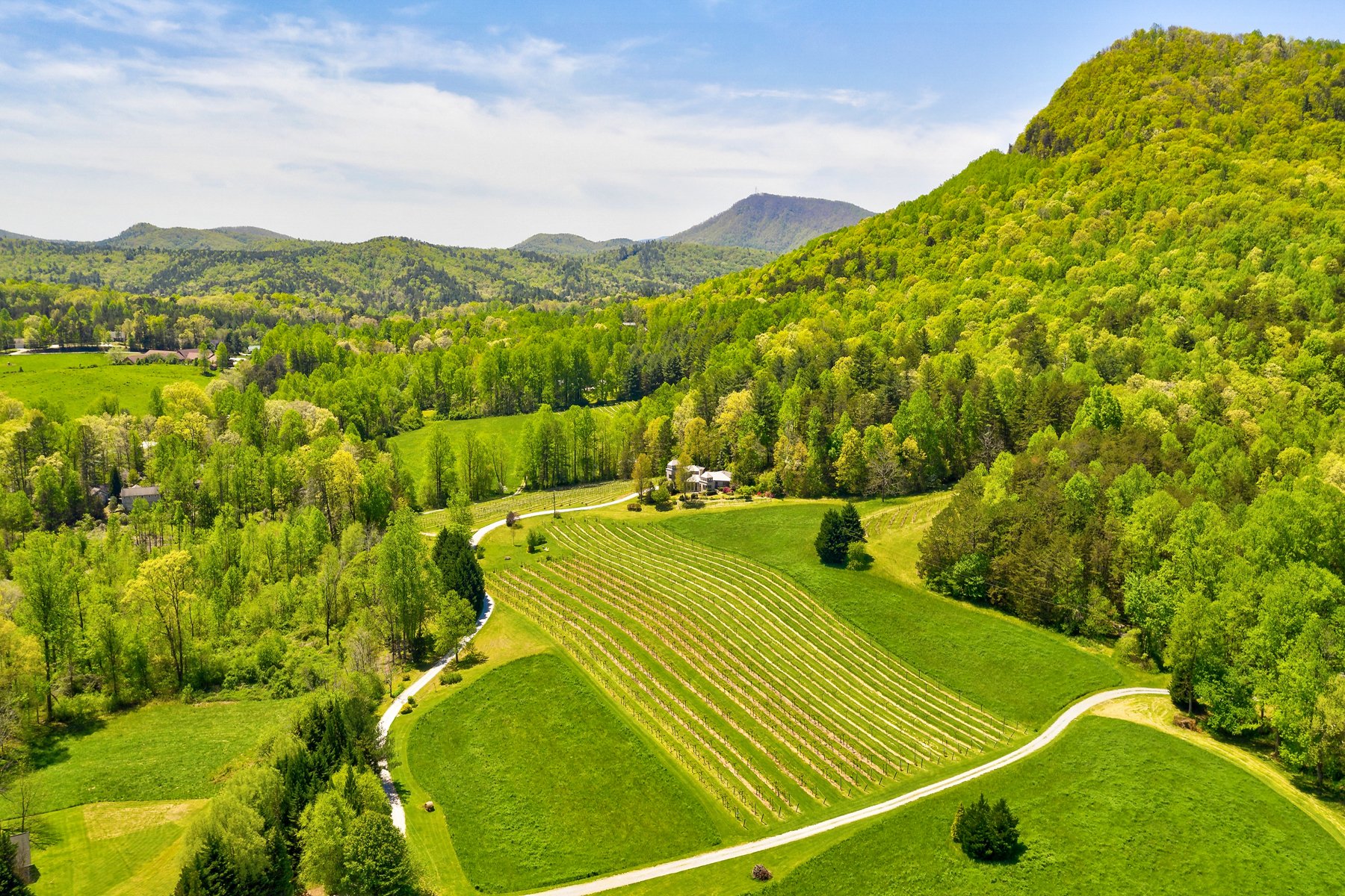 Tiger Mountain Vineyard in Tiger, GA, United States for sale (10860907)