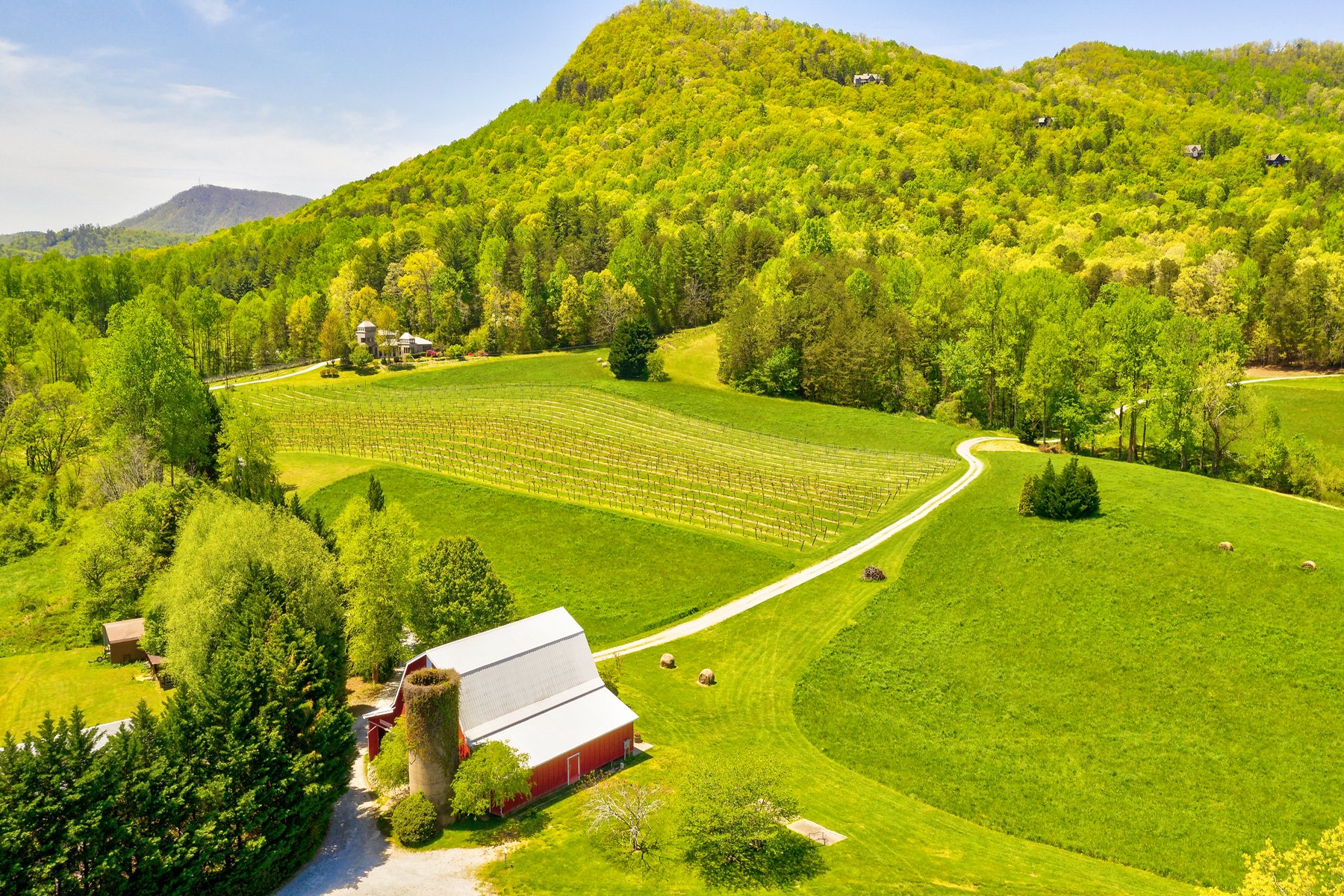 Tiger Mountain Vineyard in Tiger, GA, United States for sale (10860907)