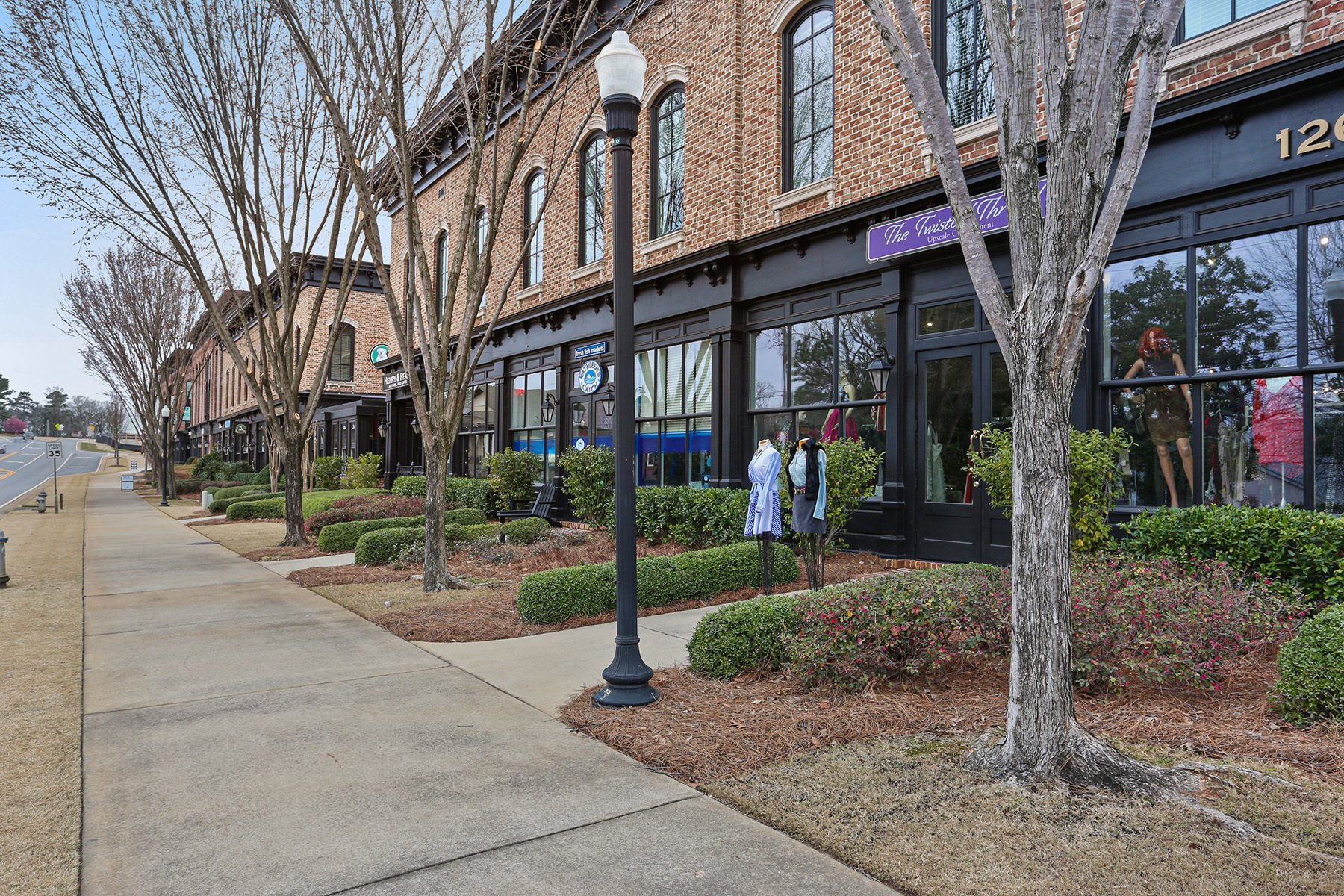 Immaculate Townhome In Heart Of Downtown Crabapple in Milton, GA