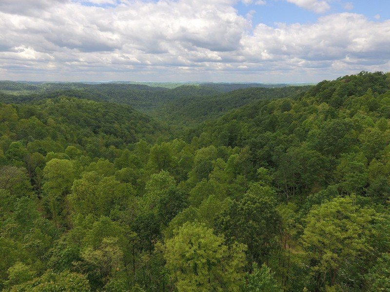 Leatherwood Creek Timberlands in Bickmore, WV, United States for sale ...