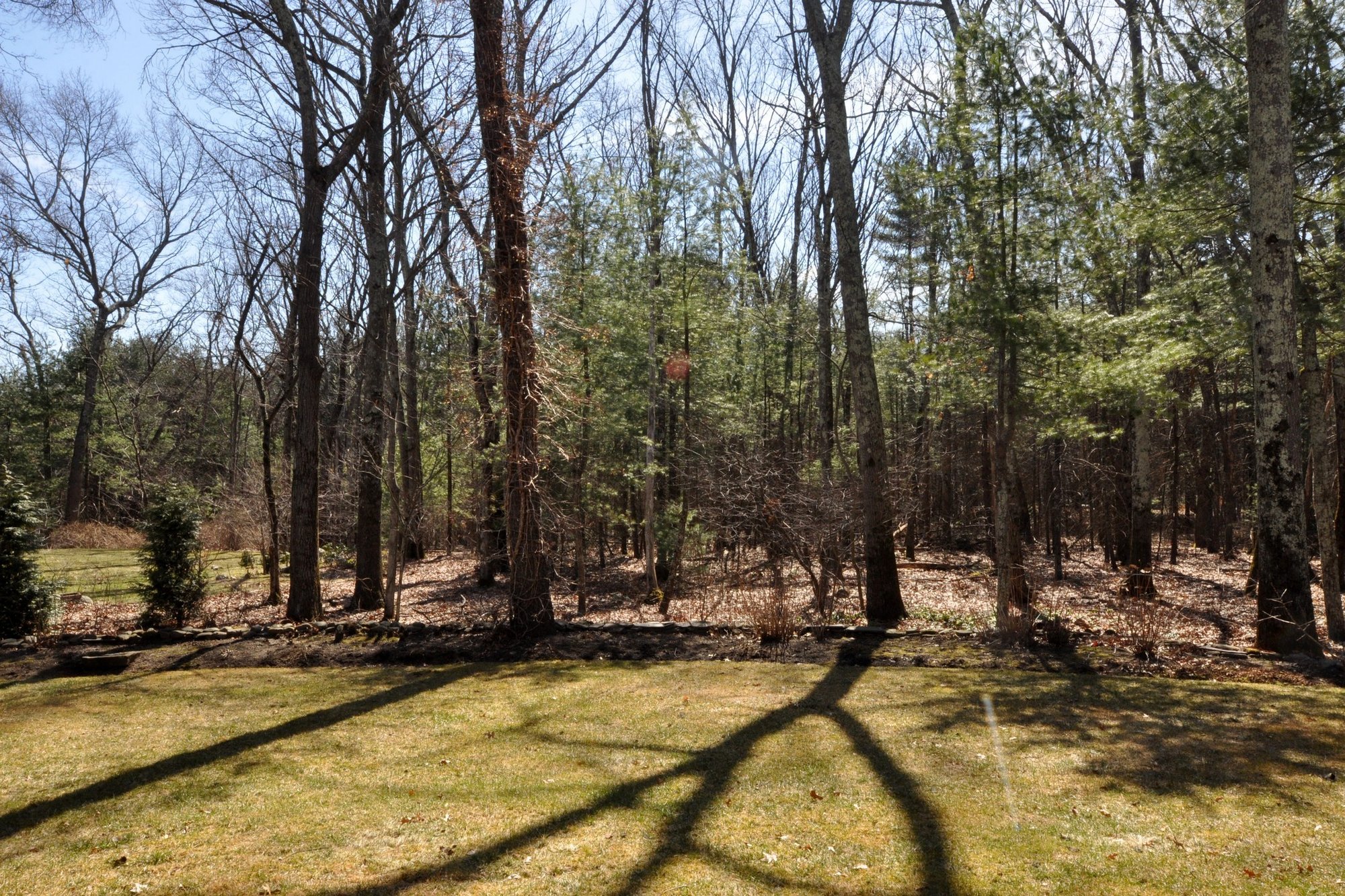 62 Blueberry Lane in Concord, MA, United States for sale (10895927)