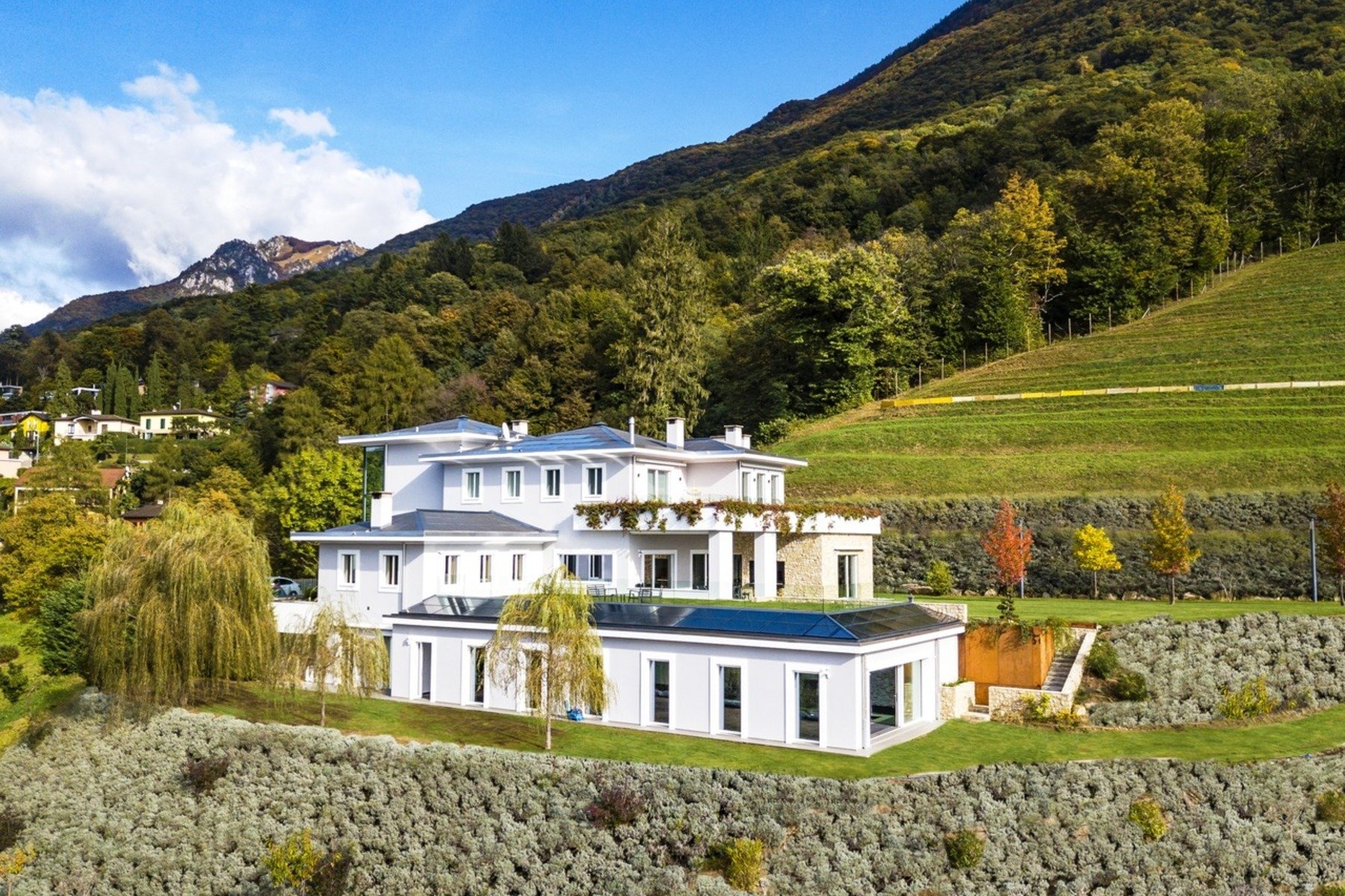 Luxury Villa With 15 Acres Of Private Land in Lugano, Switzerland for