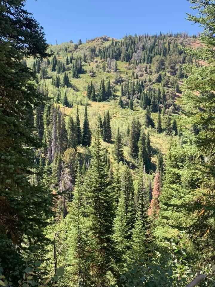 Acreage in Jarbidge, NV, United States for sale (10906796)