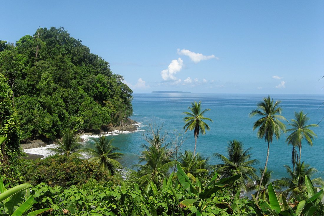 170 Acre Off Grid Jungle Paradise And Field In Puntarenas Province, Costa Rica For Sale (10911833)