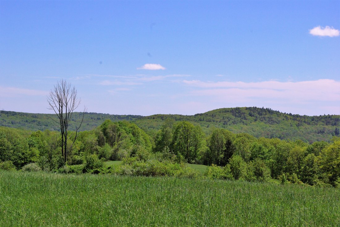 Pastures, Fields, Stone Walls, Brook & In Winsted, Connecticut, United