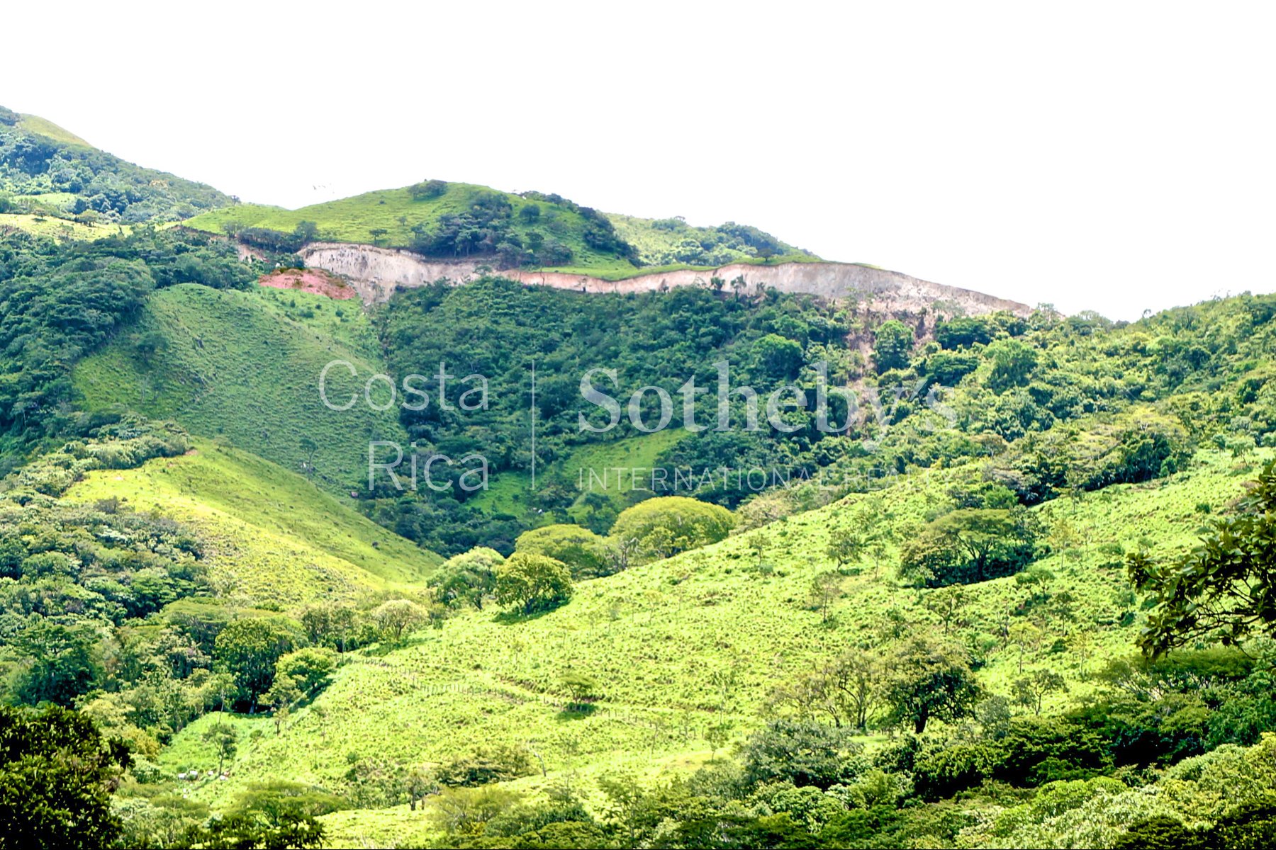 La Guaria Ranch In Monteverde in Monteverde, Costa Rica for sale (10916810)
