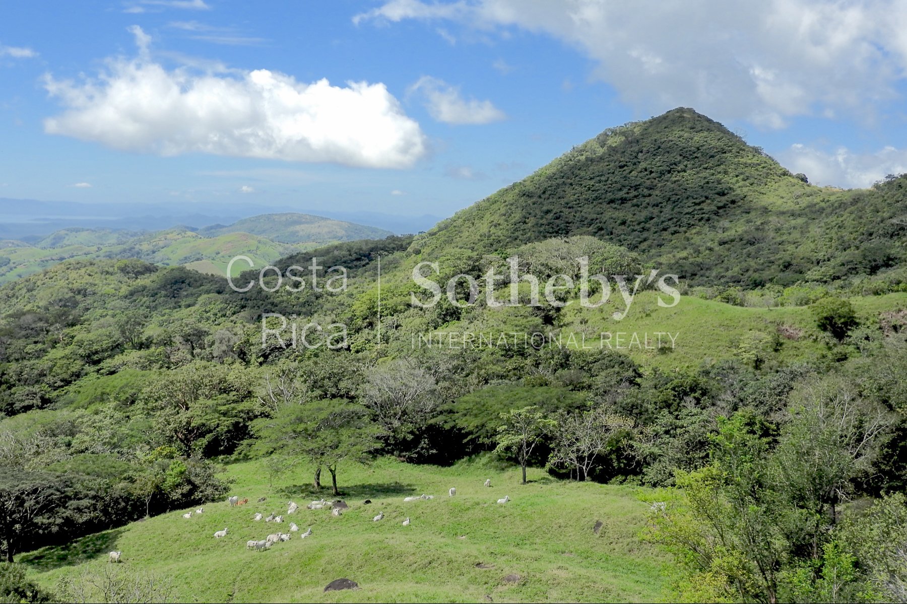 La Guaria Ranch In Monteverde in Monteverde, Costa Rica for sale (10916810)