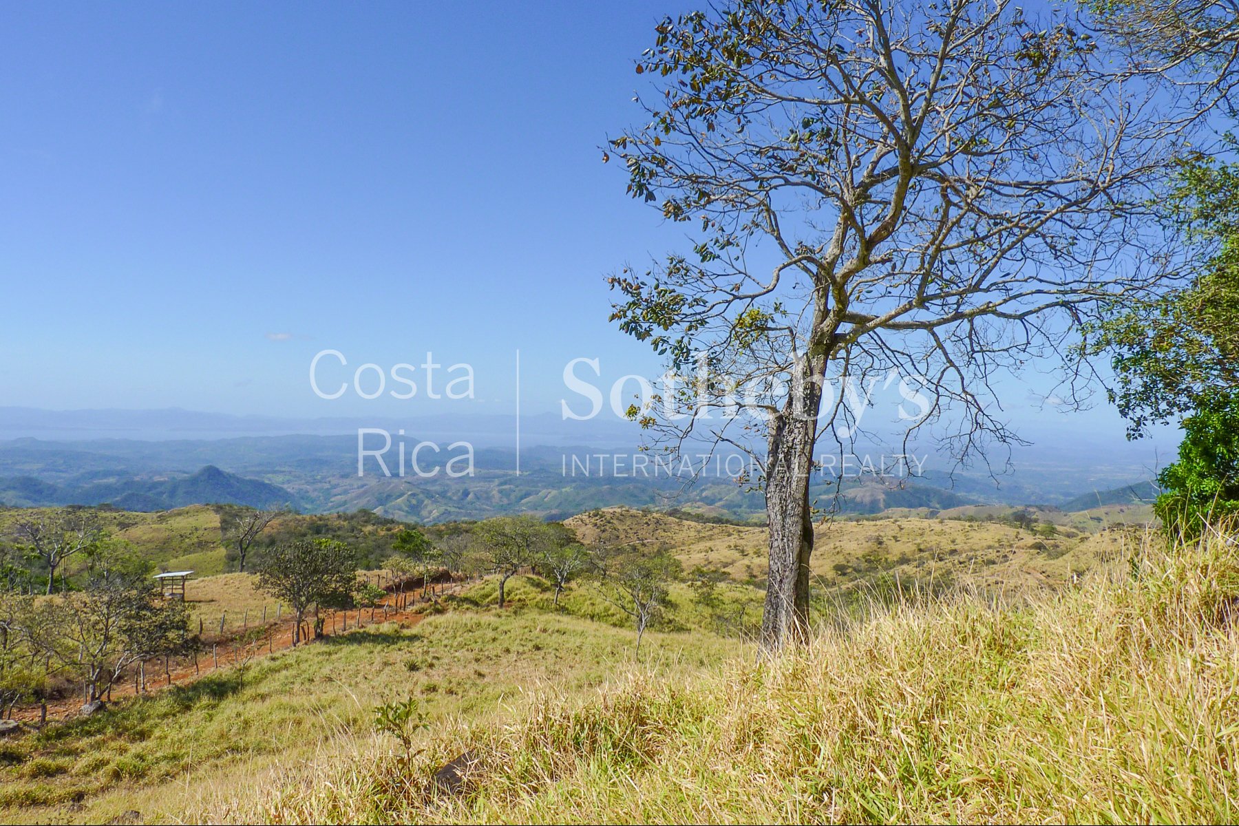 La Guaria Ranch In Monteverde in Monteverde, Costa Rica for sale (10916810)