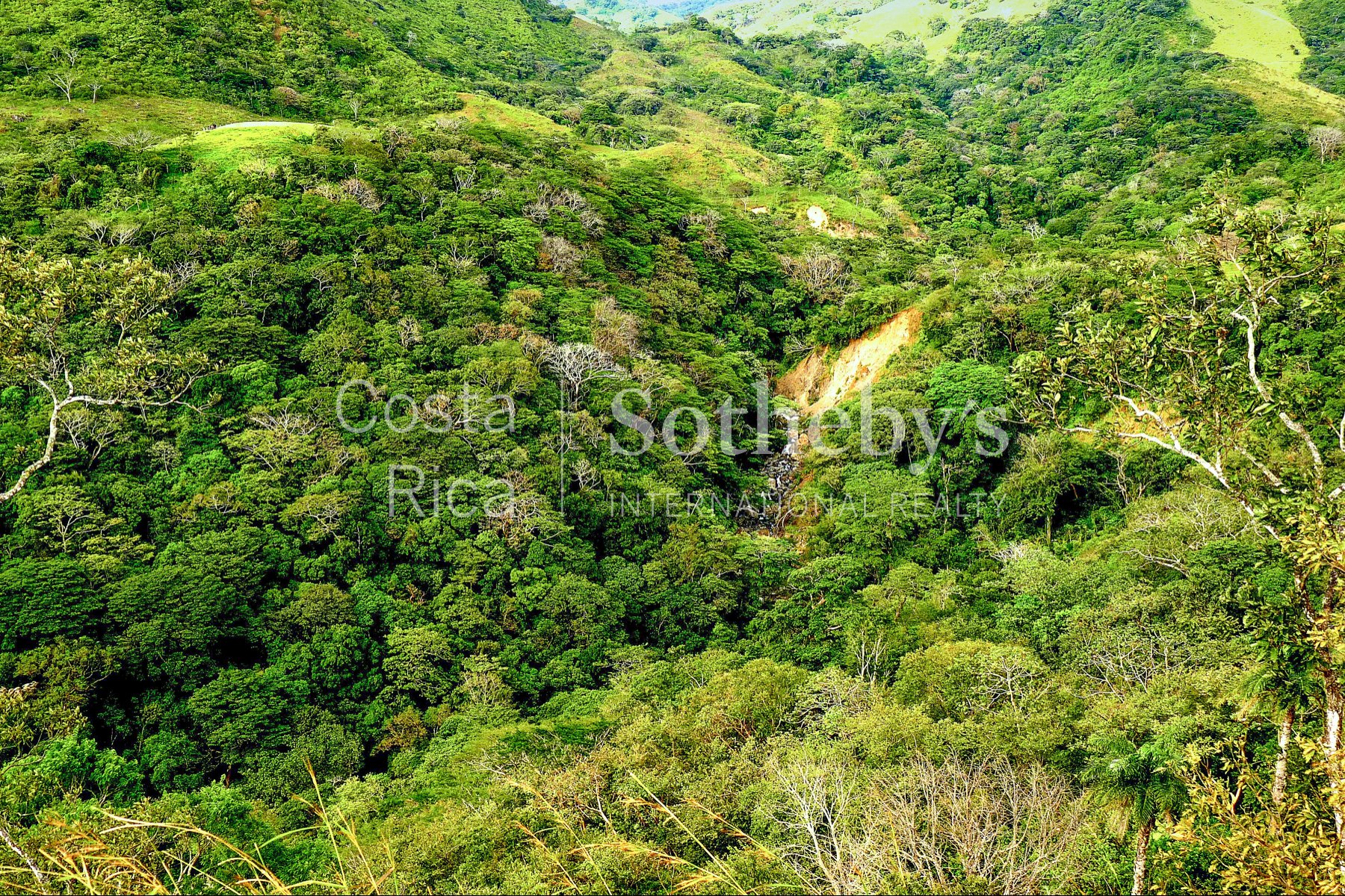 La Guaria Ranch In Monteverde in Monteverde, Costa Rica for sale (10916810)