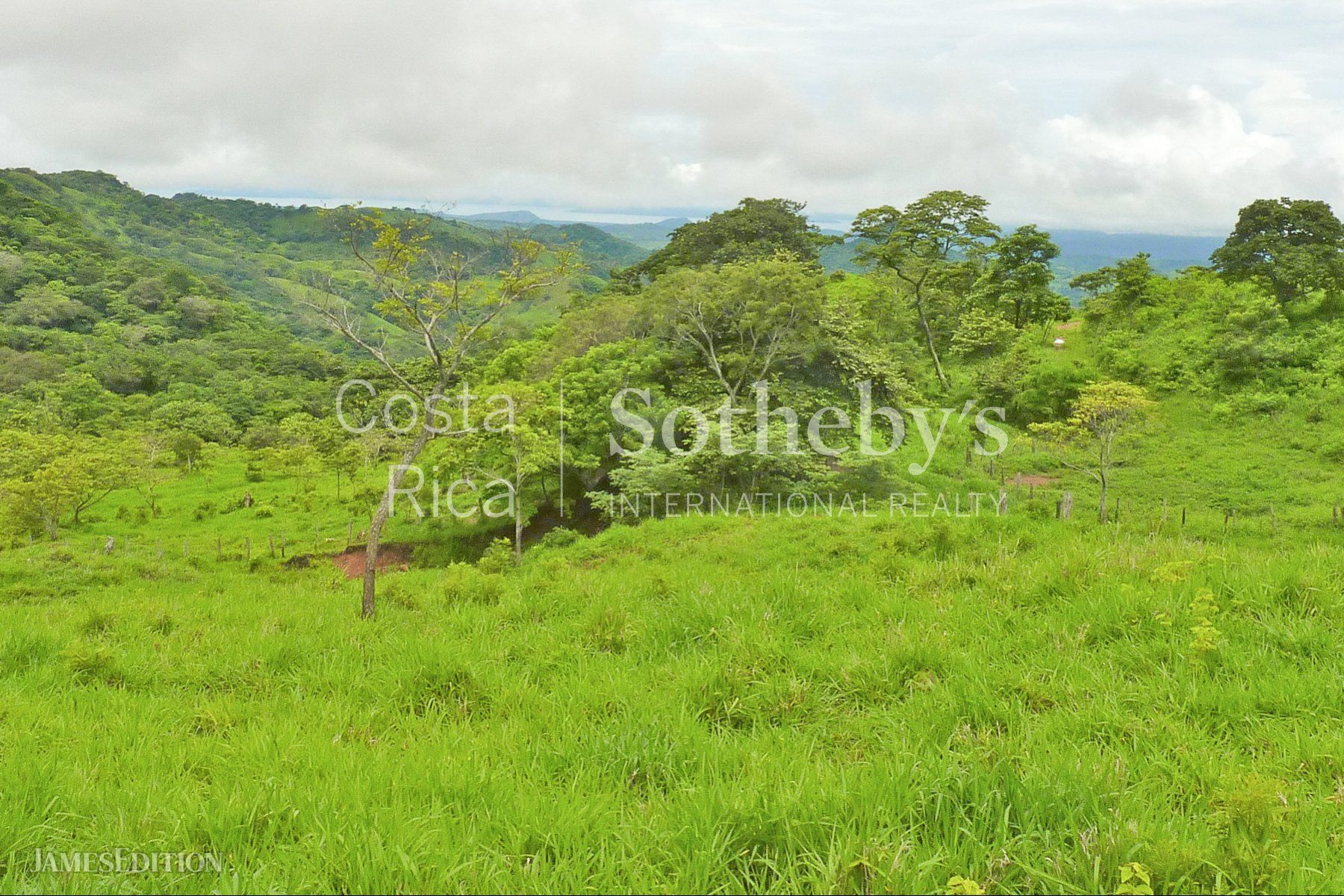 La Guaria Ranch In Monteverde in Monteverde, Costa Rica for sale (10916810)