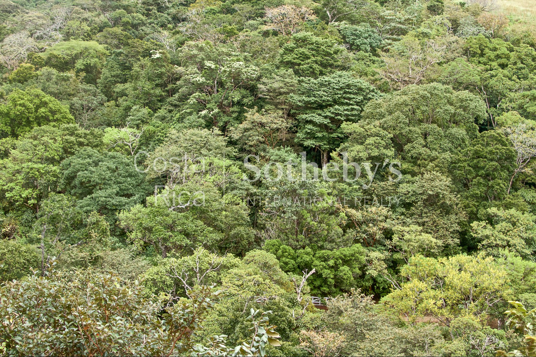 La Guaria Ranch In Monteverde in Monteverde, Costa Rica for sale (10916810)