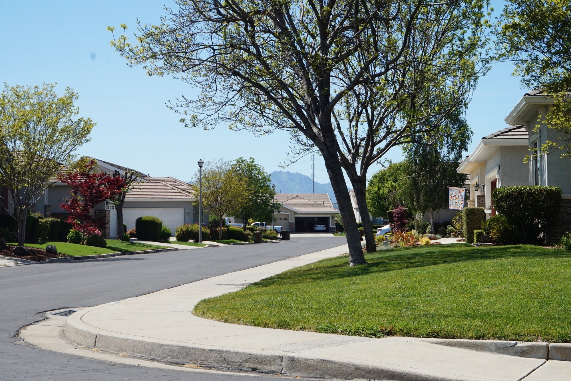 Summerset Beauty in Brentwood, CA, United States for sale (10915937)