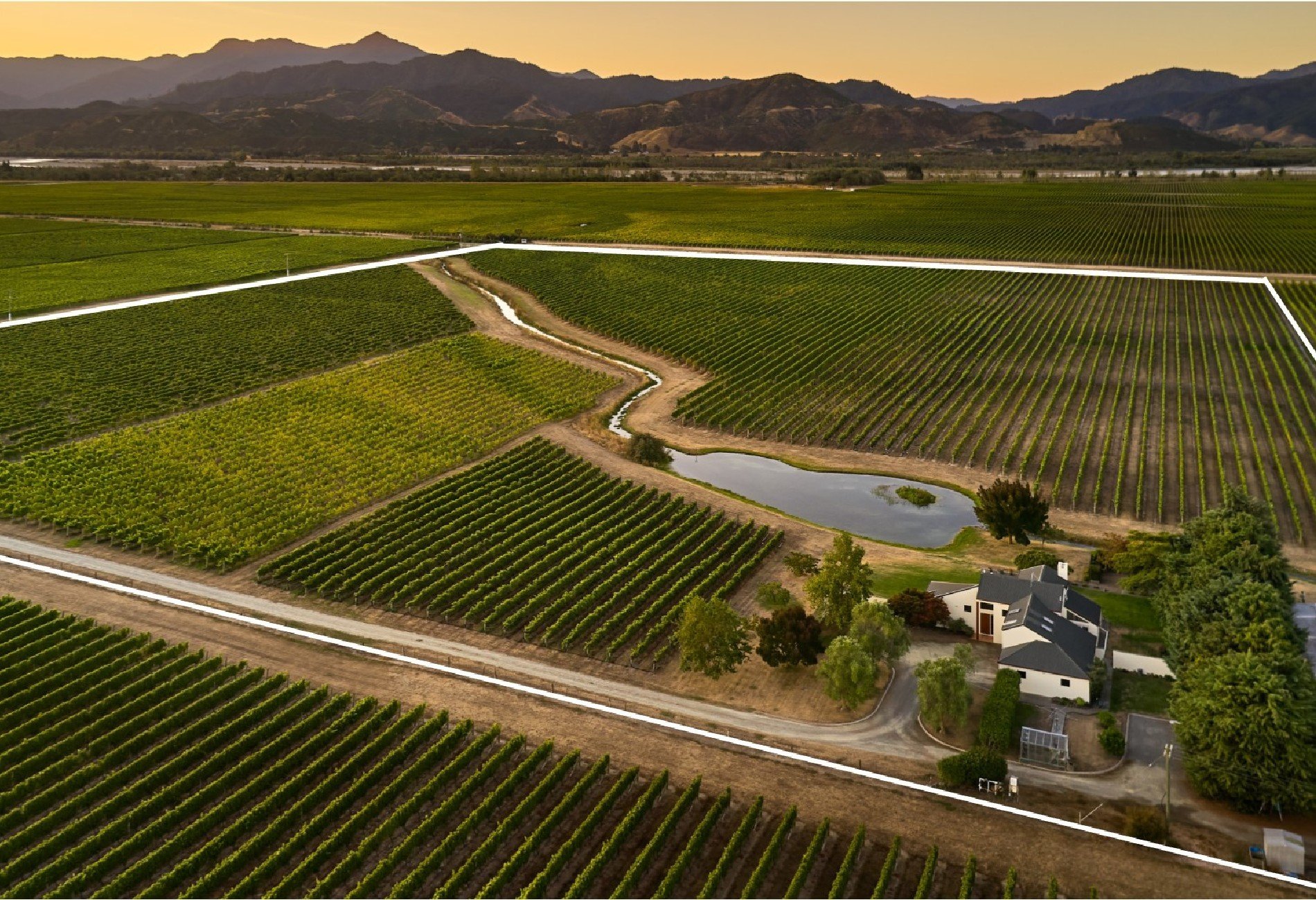 Westview Vineyard in Renwick, New Zealand for sale (10947104)