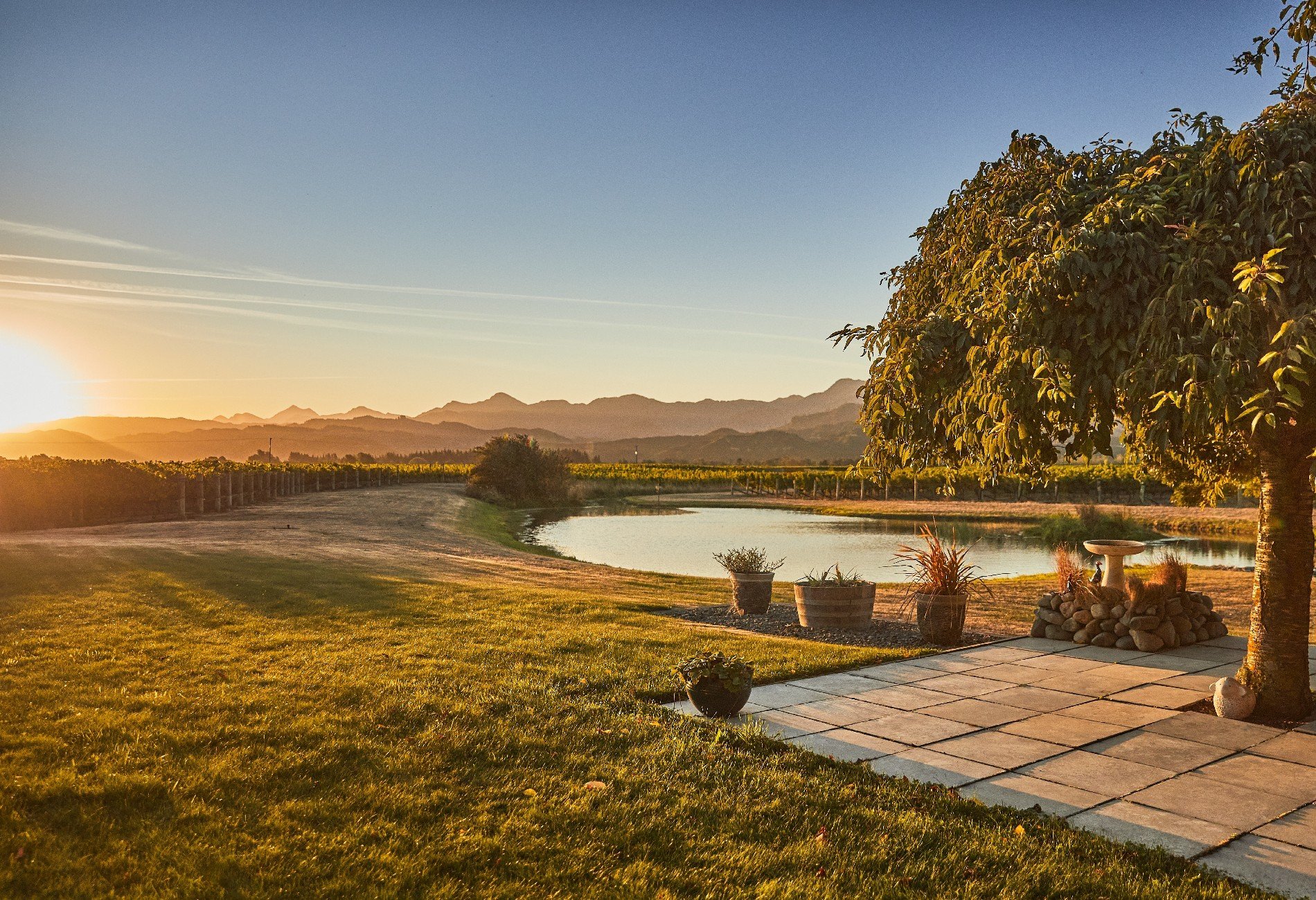 Westview Vineyard in Renwick, New Zealand for sale (10947104)