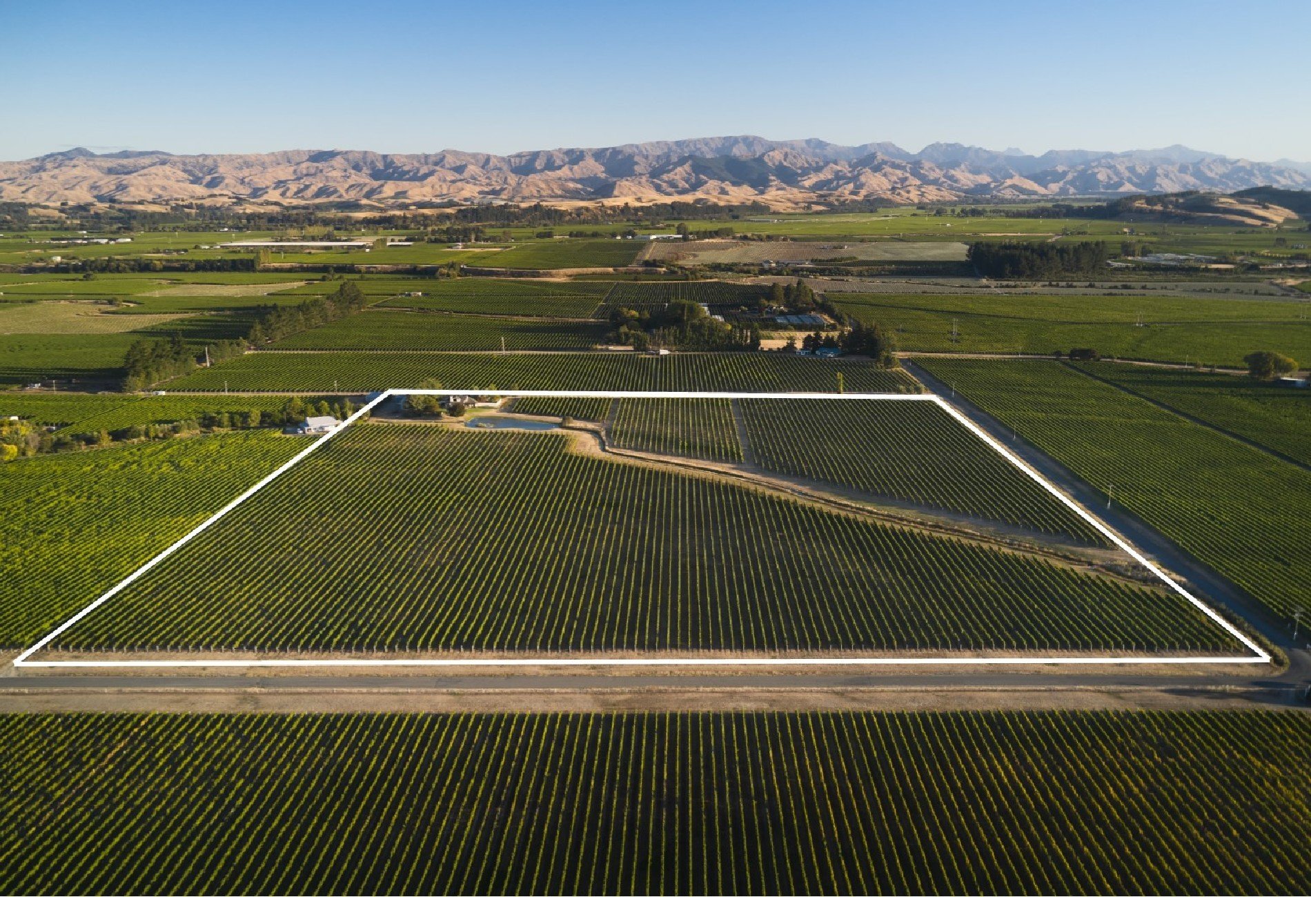 Westview Vineyard in Renwick, New Zealand for sale (10947104)