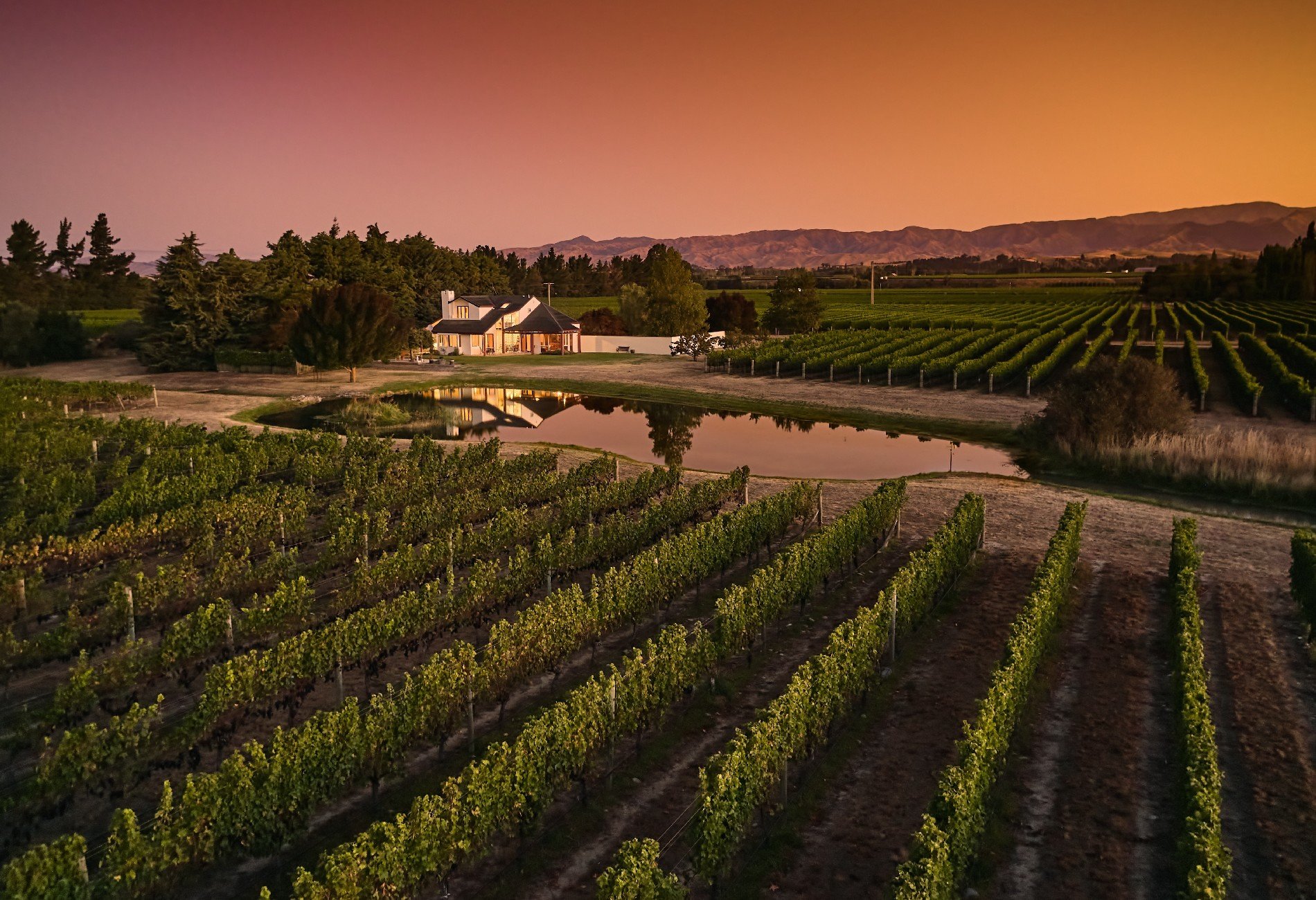 Westview Vineyard in Renwick, New Zealand for sale (10947104)