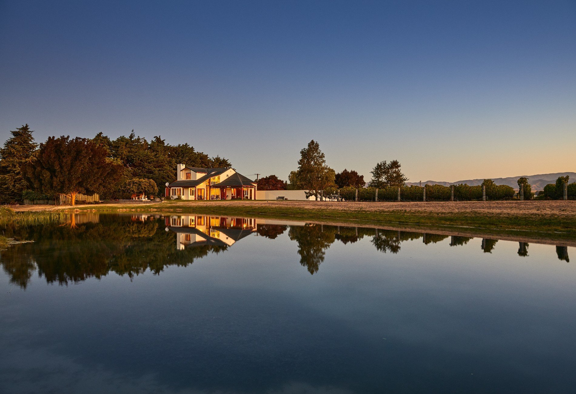 Westview Vineyard in Renwick, New Zealand for sale (10947104)