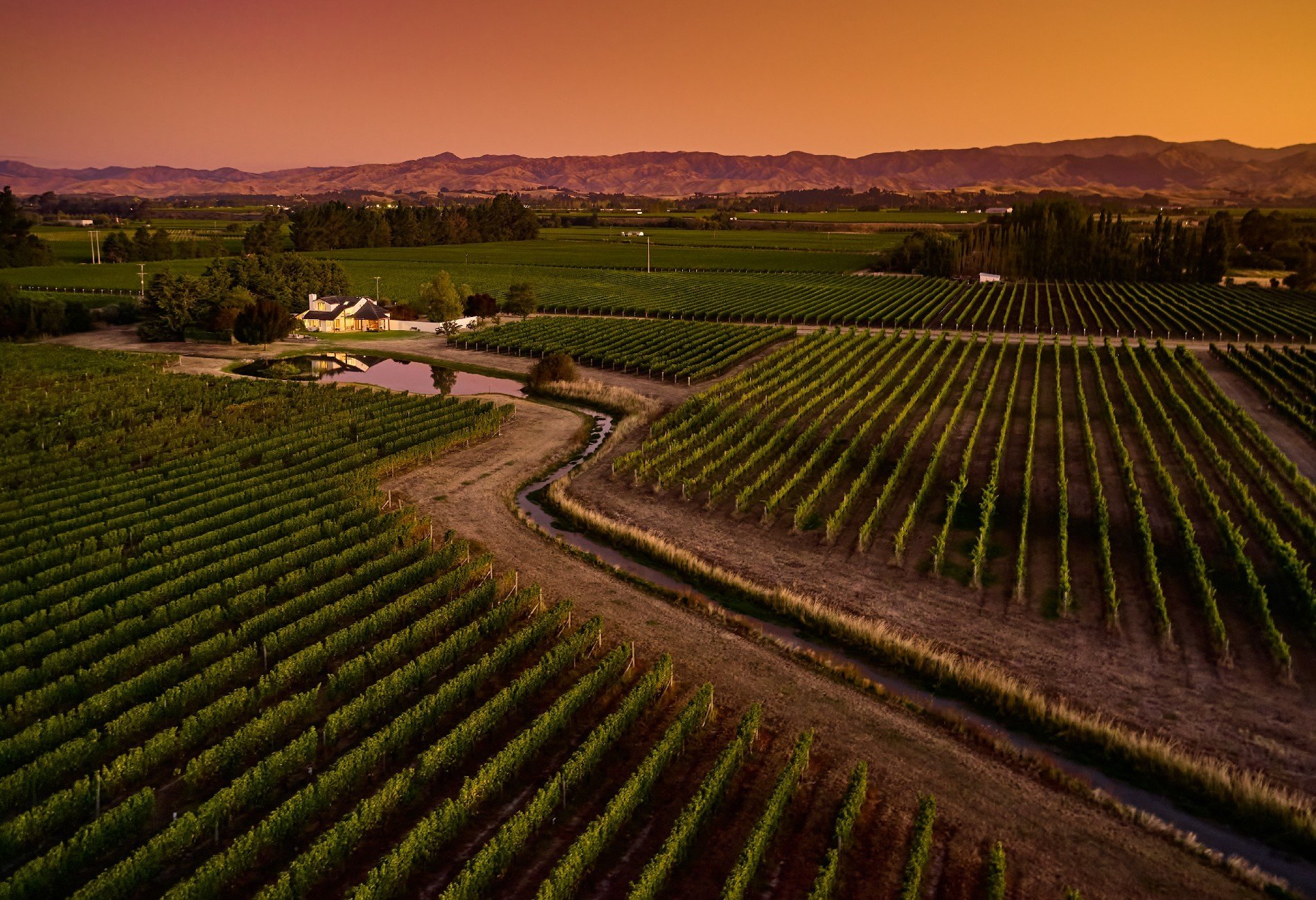 Westview Vineyard in Renwick, New Zealand for sale (10947104)