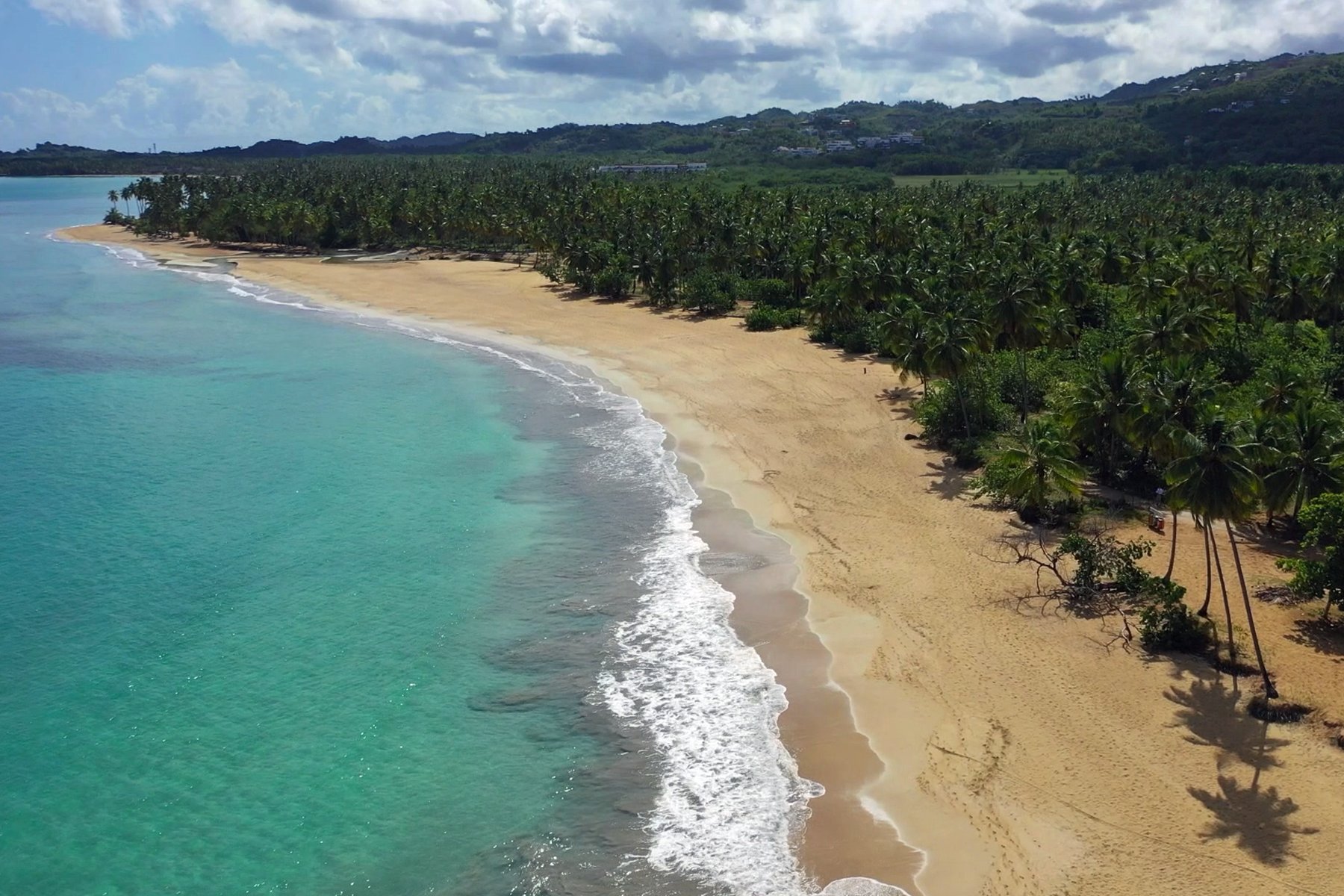 Playa Coson Beachfront Land in Las Terrenas, Dominican Republic for