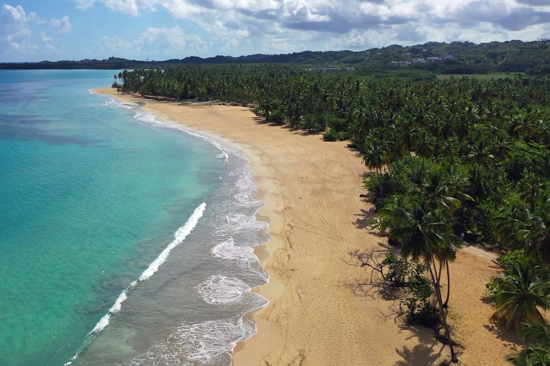 Playa Coson Beachfront Land in Las Terrenas, Dominican Republic for ...