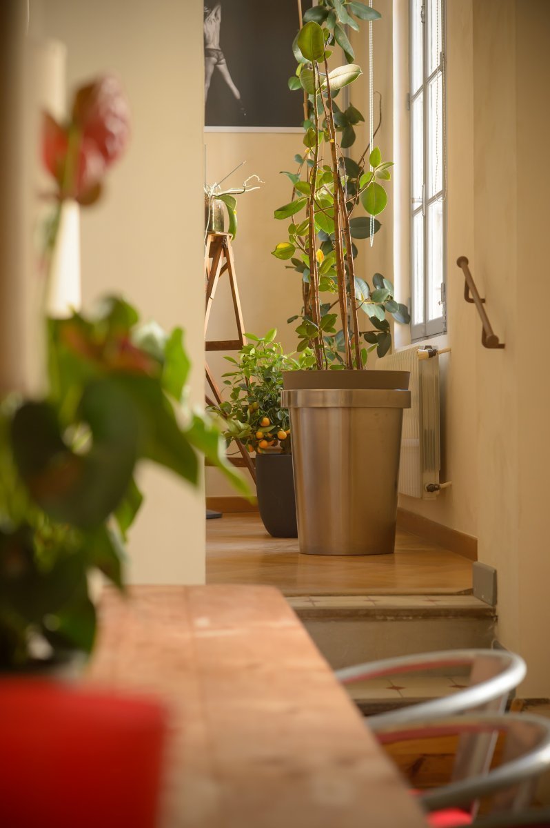 House in Arles, Provence-Alpes-Côte d'Azur, France 5 - 10957137