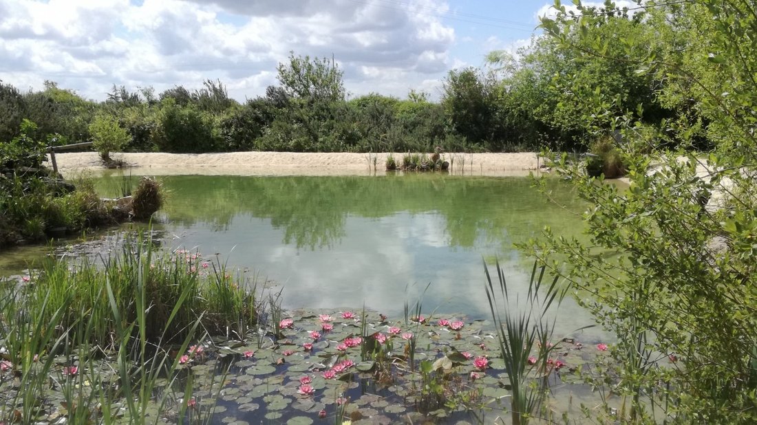 Estate in Jazennes, Nouvelle-Aquitaine, France 2 - 10957129