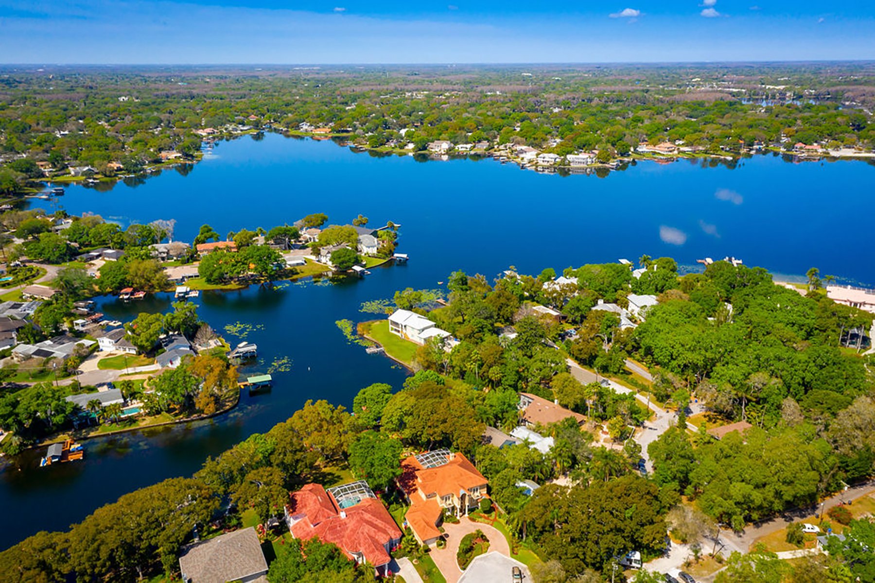 Lake Carroll Cove In Tampa Fl United States For Sale 10903534   2000xxs 