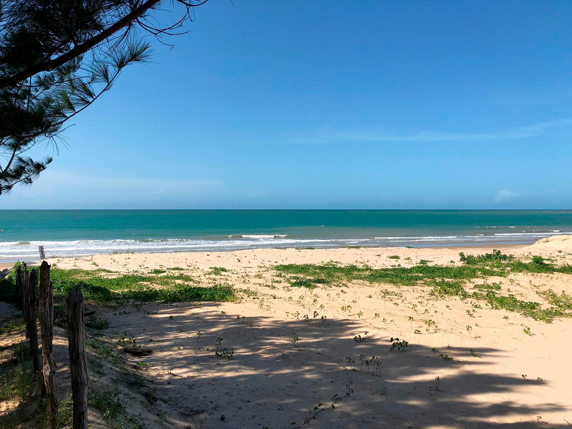 Tudo sobre o município de Amontada Estado do Ceara Cidades do Meu