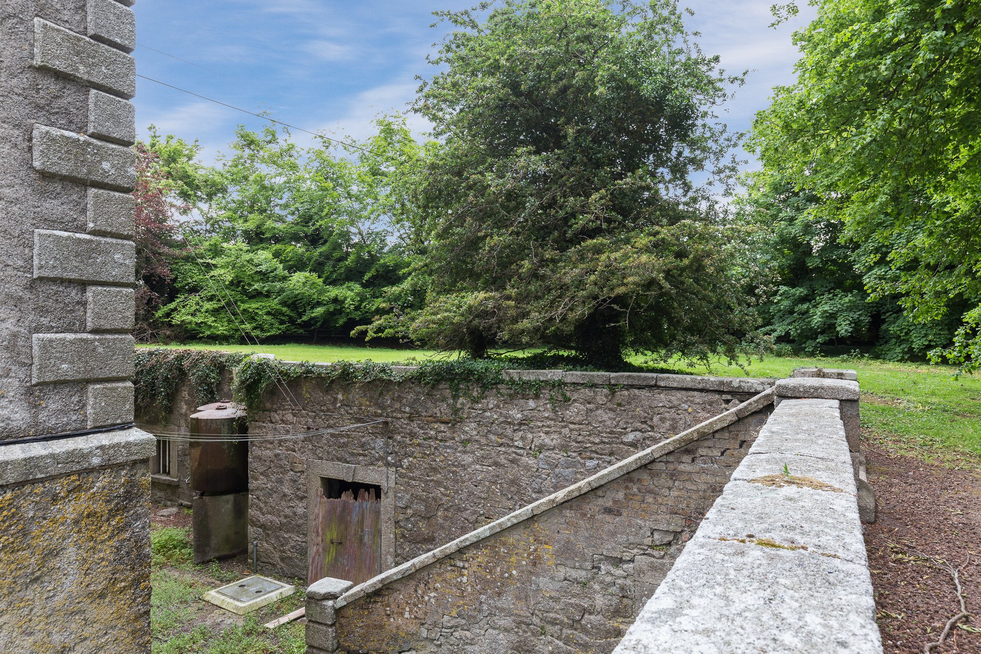 Browne'S Hill House In Carlow, Ireland For Sale (11035414)