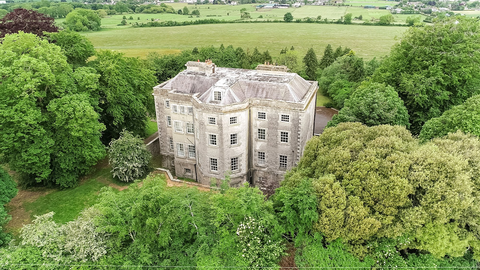 Browne'S Hill House In Carlow, Ireland For Sale (11035414)