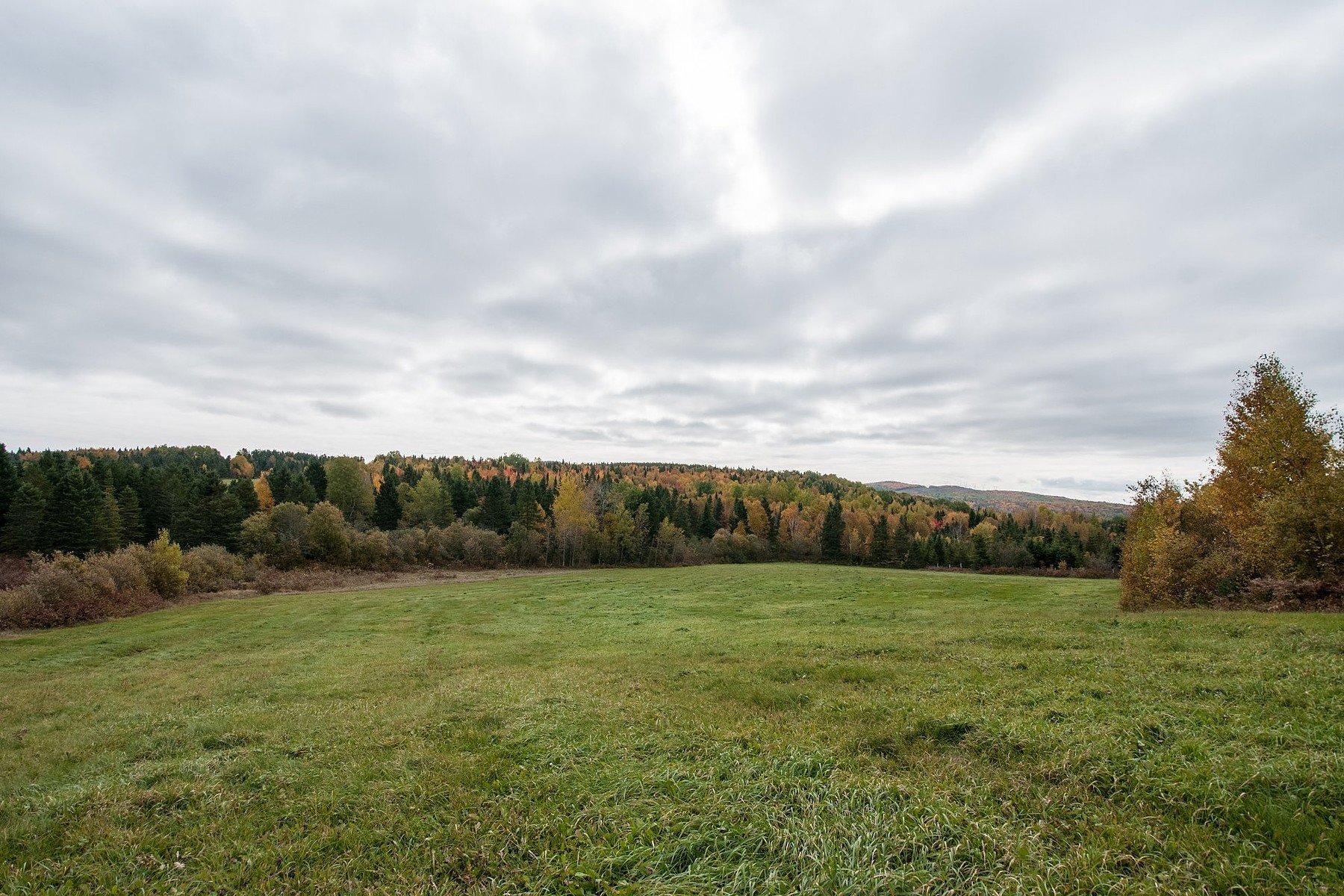 Saint Ferréol Les Neiges, Capitale Nationale in SaintFerréolles